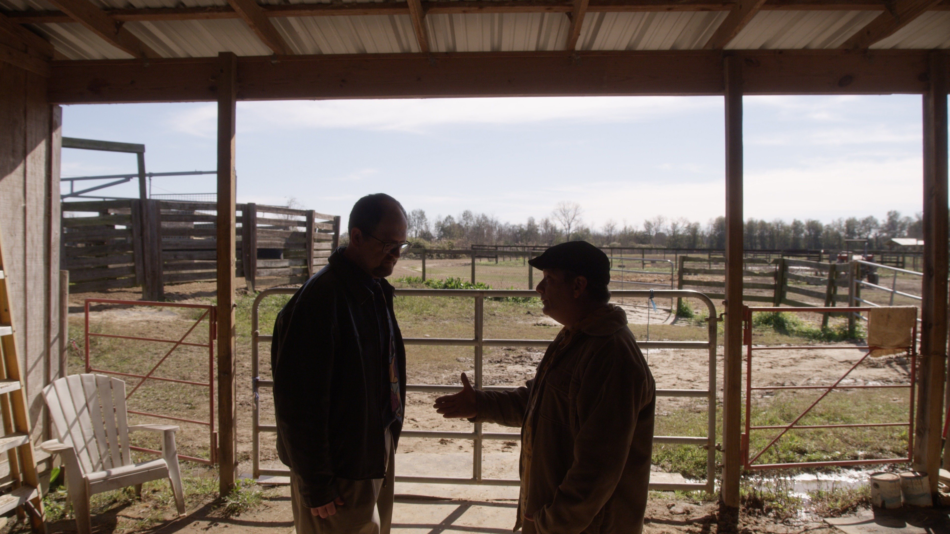 The Fiddling Horse scene photo