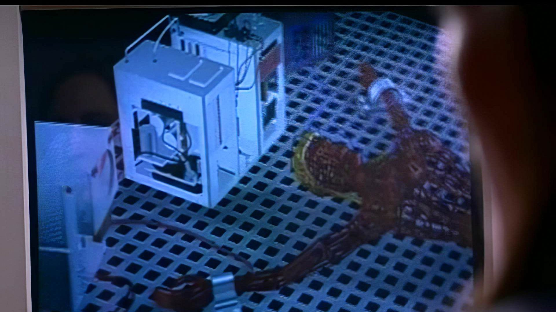 The Final Cut scene photo