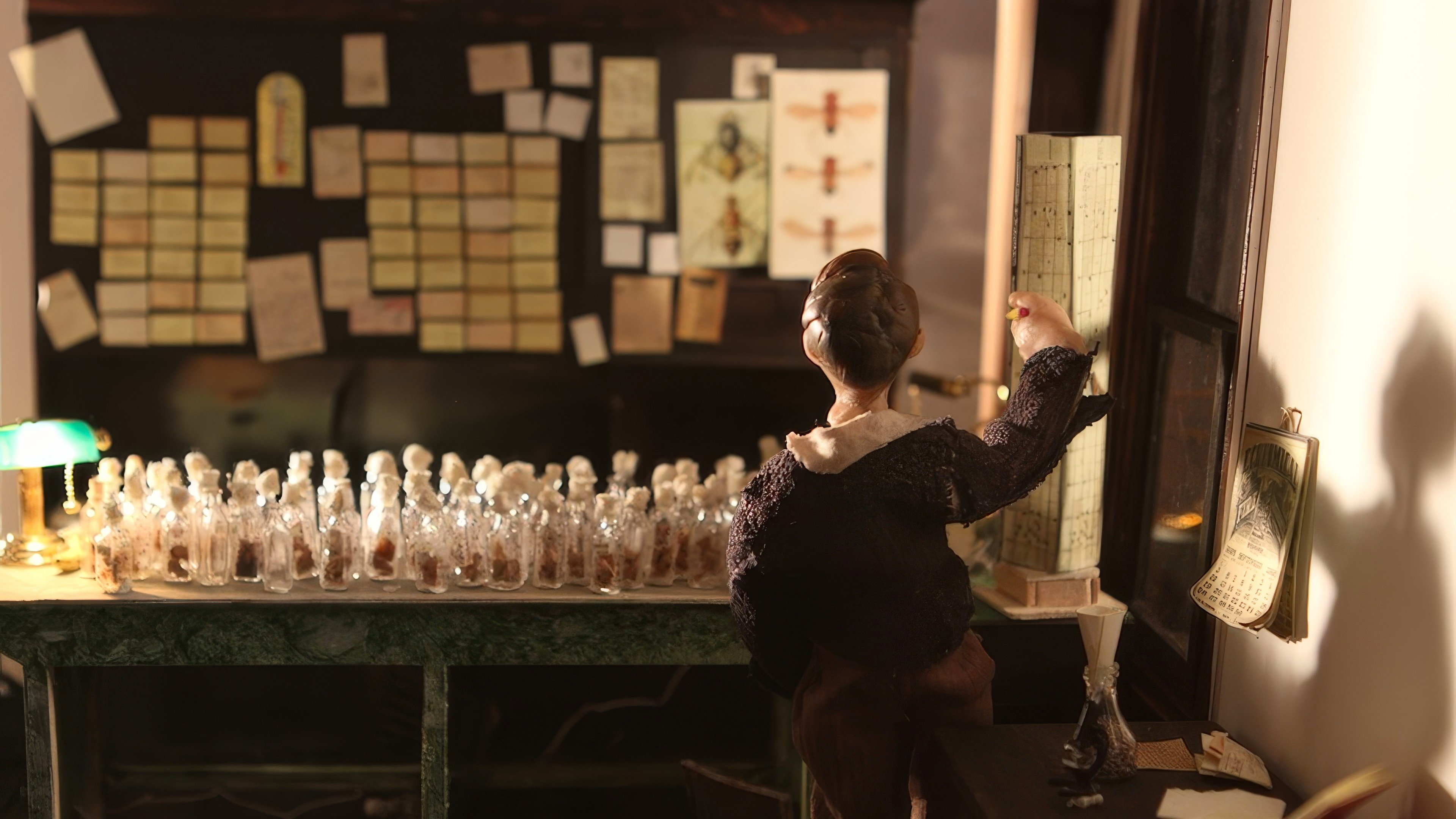 The Fly Room scene photo