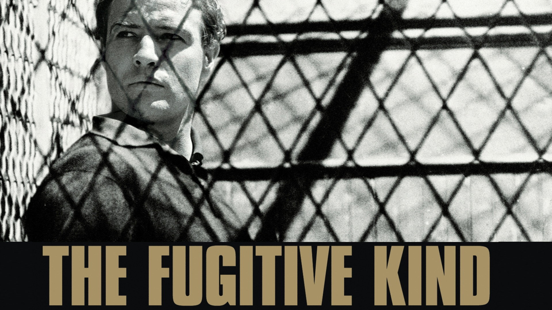 The Fugitive Kind scene photo