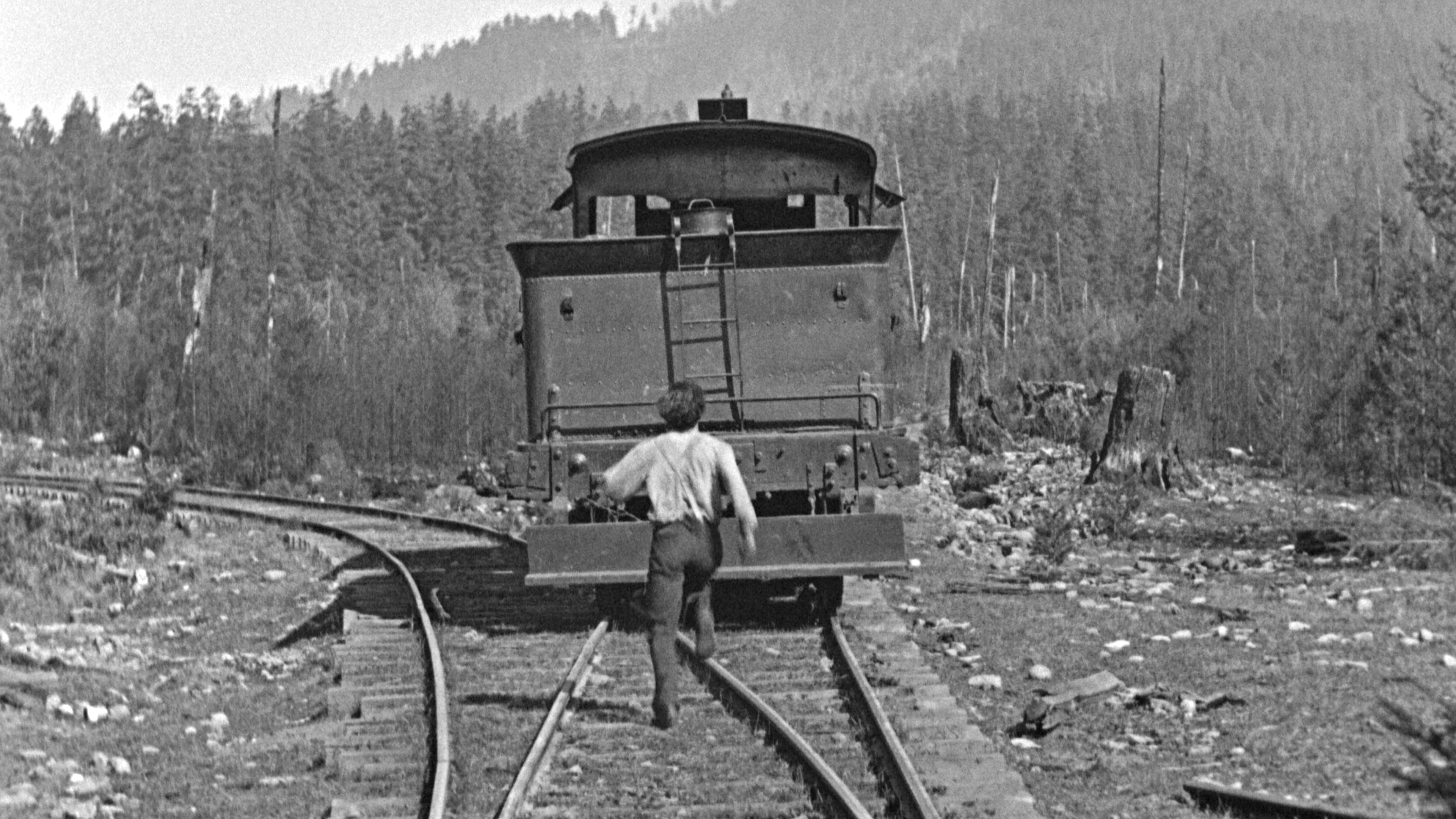 The General scene photo