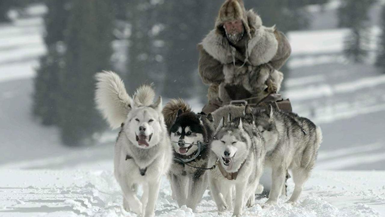 The Great Alaskan Race scene photo