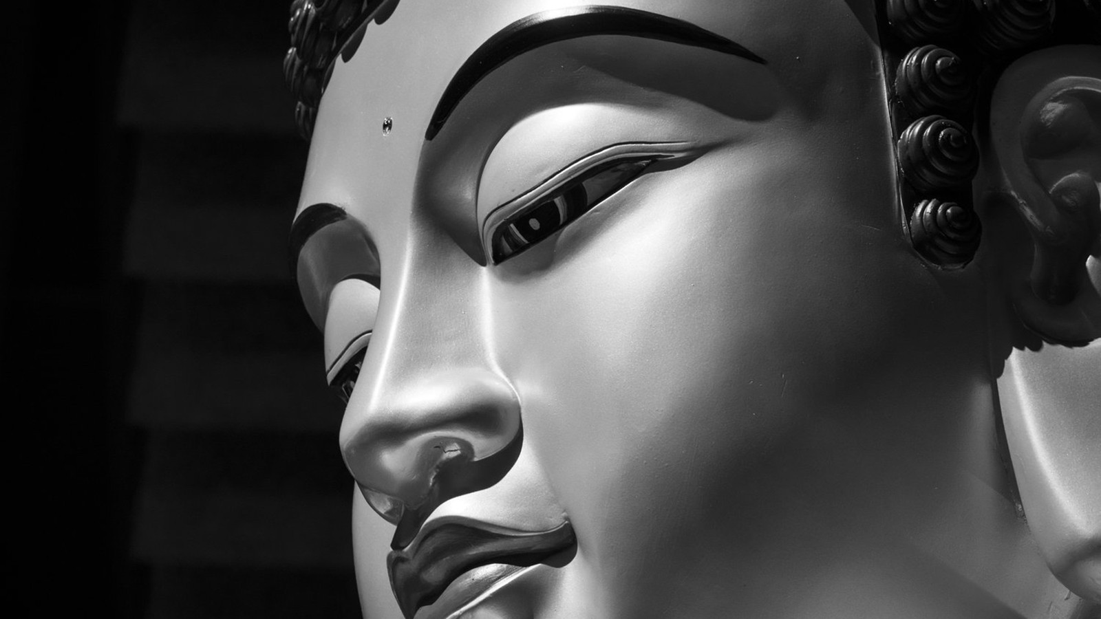The Great Buddha+ scene photo