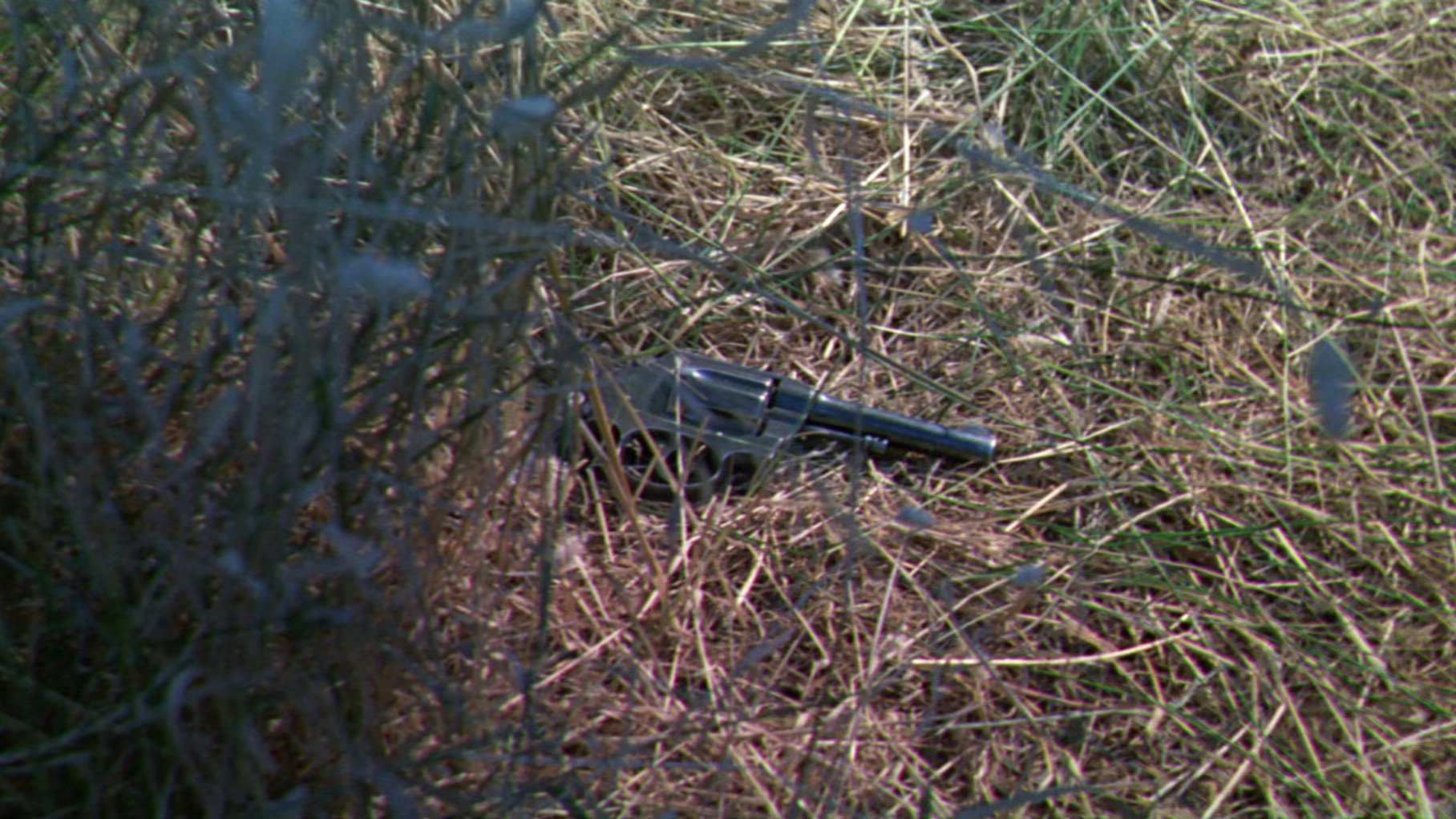 The Grissom Gang scene photo