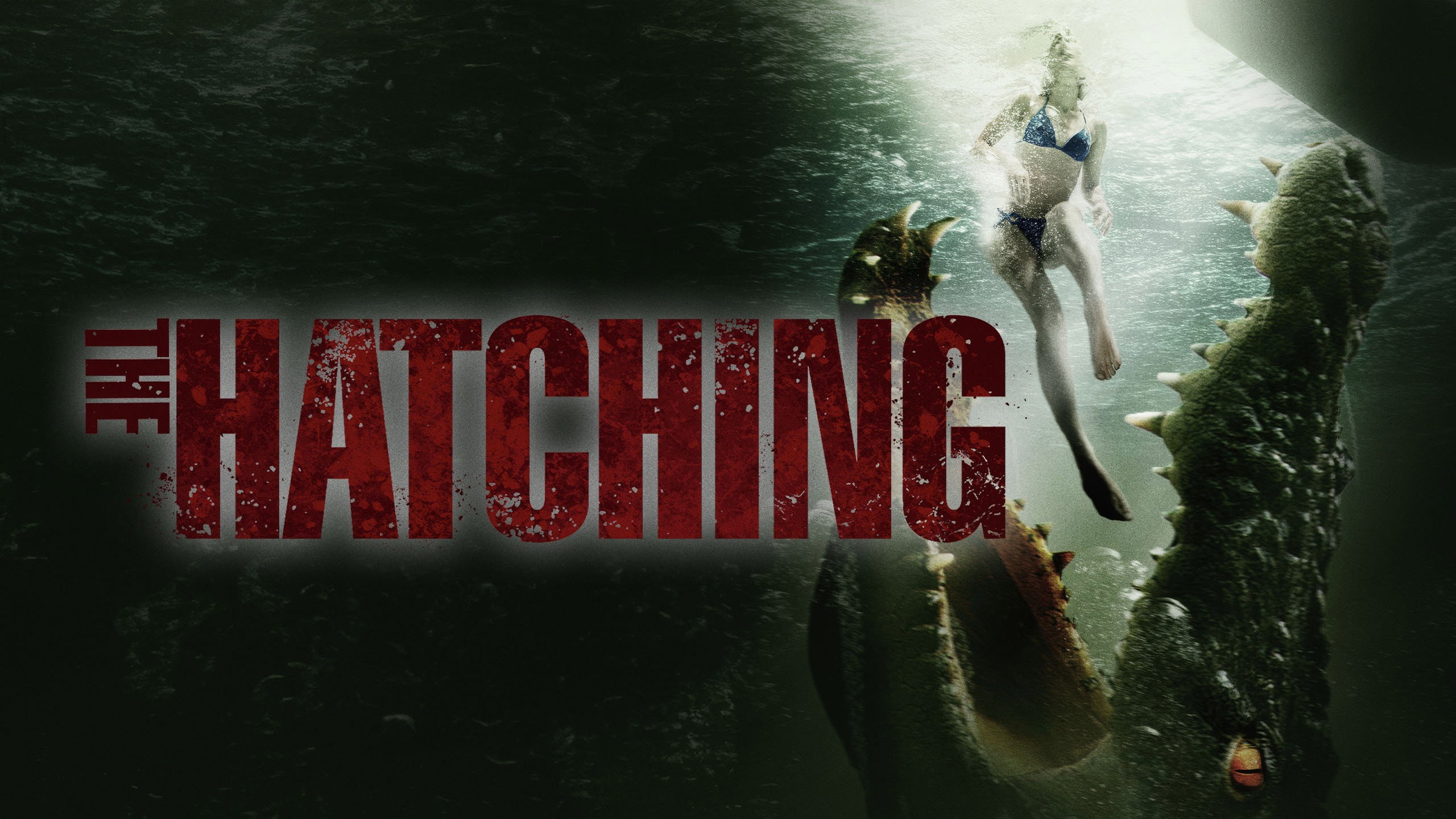 The Hatching scene photo