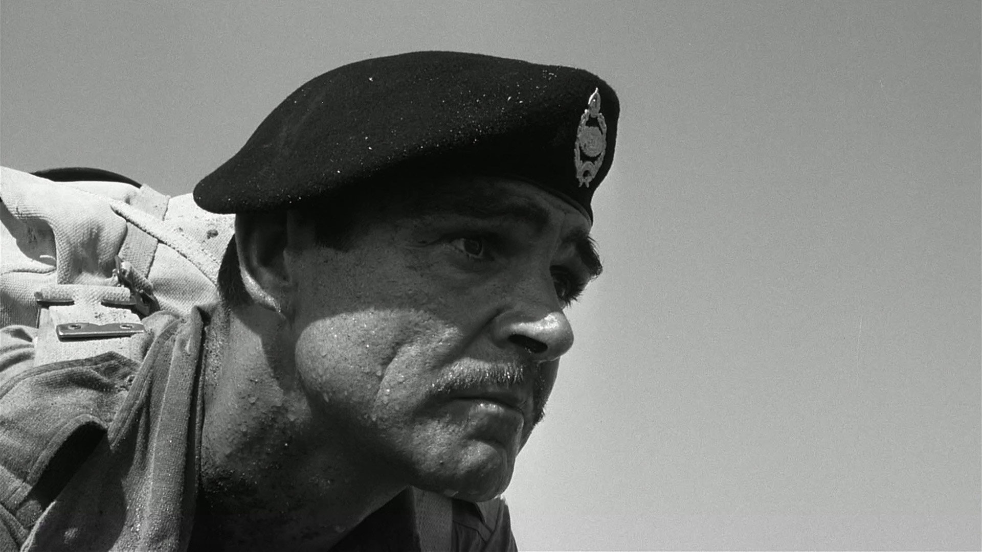 The Hill scene photo