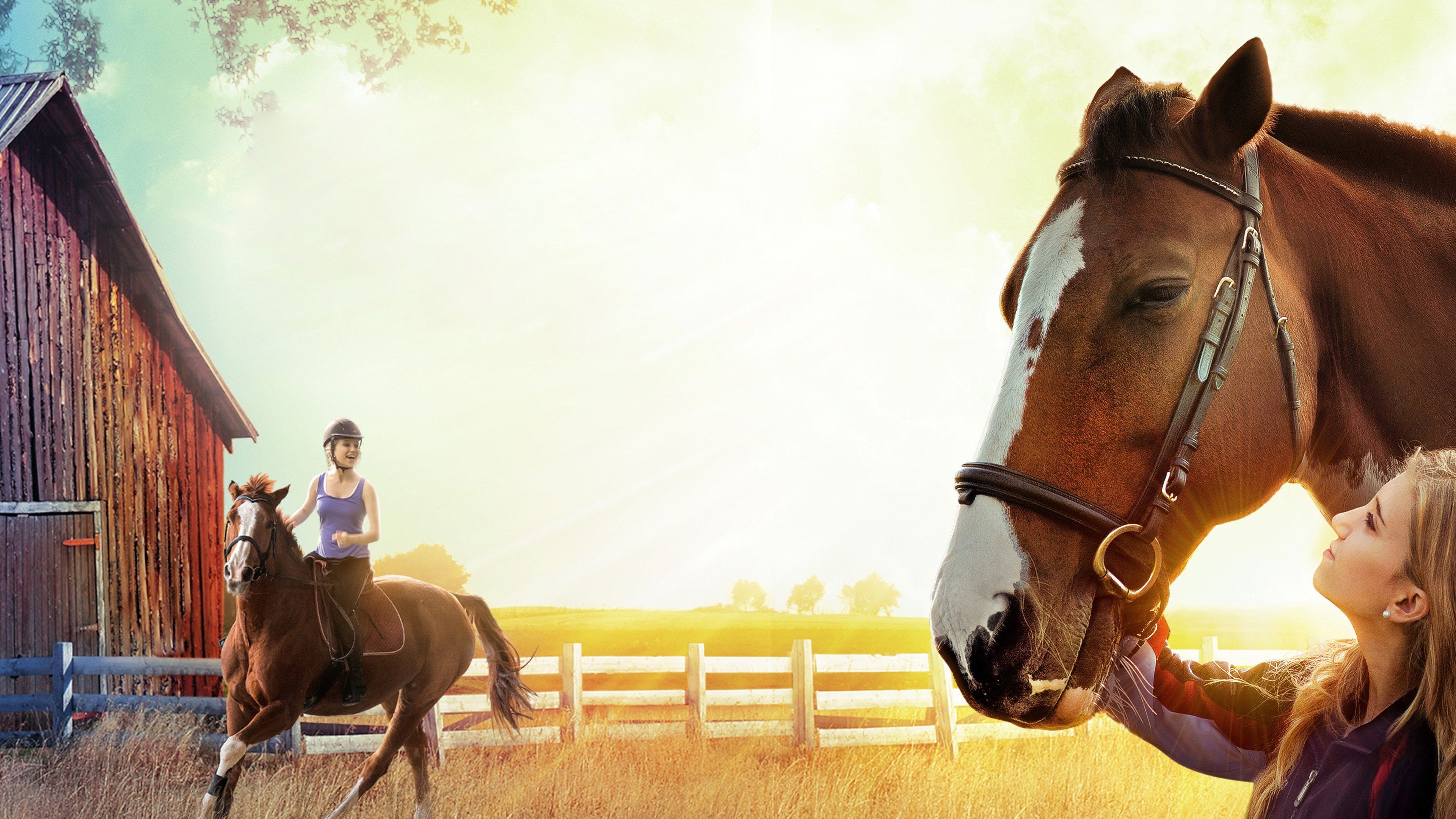 The Horse Dancer scene photo