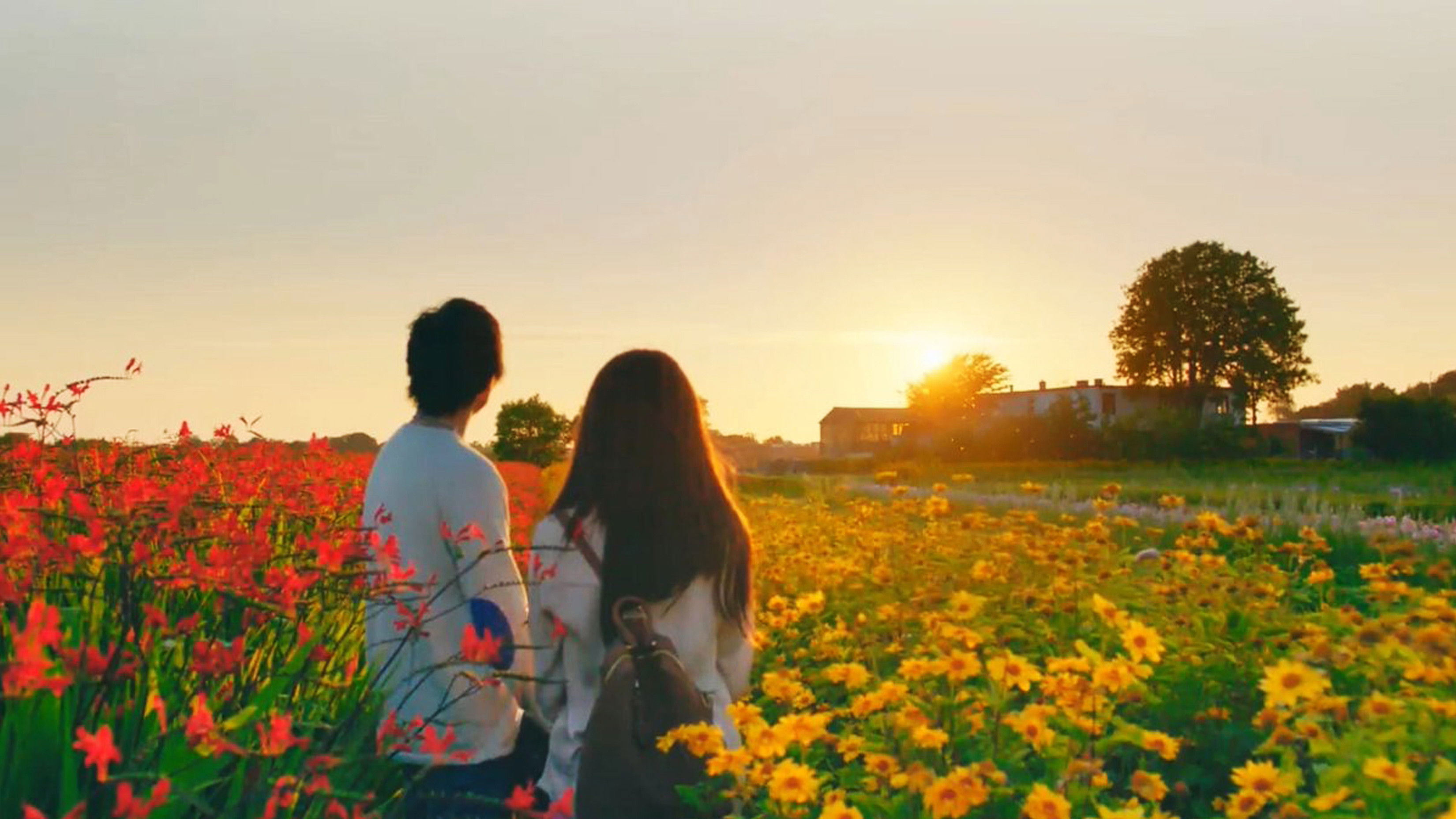 The Hows of Us scene photo