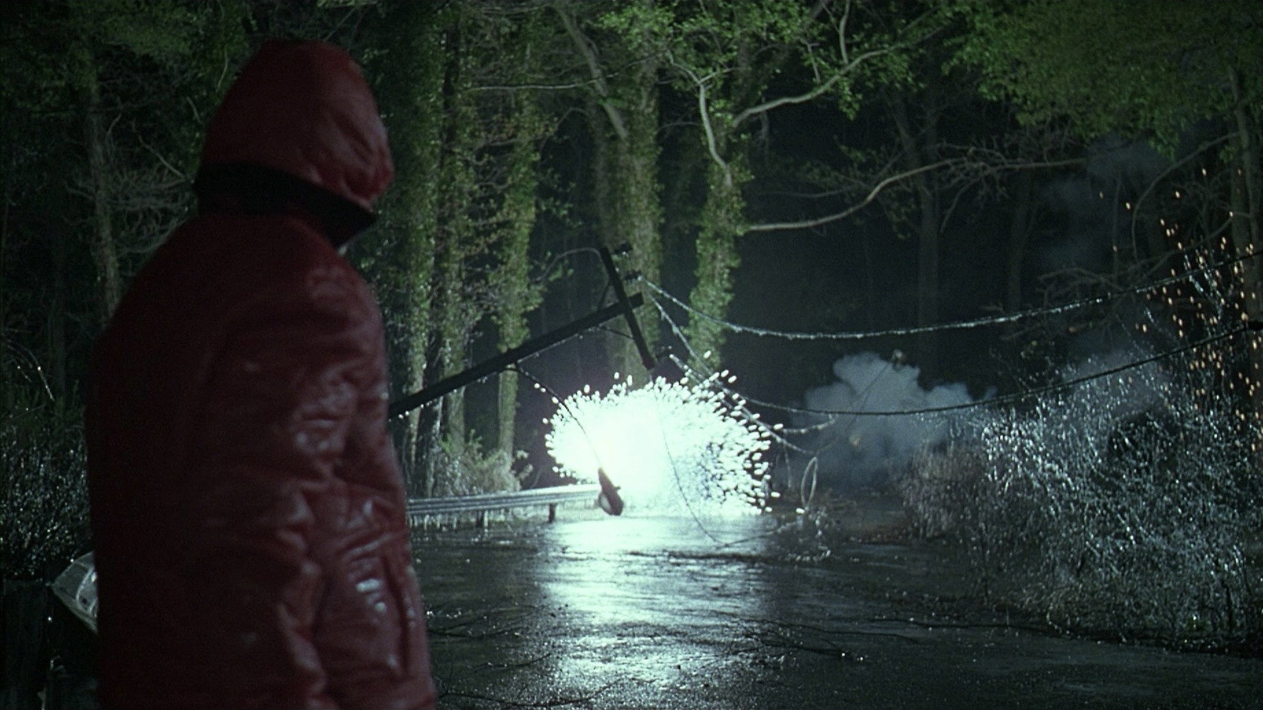 The Ice Storm scene photo