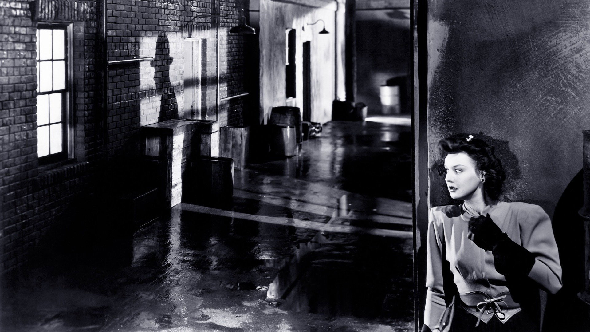The Last Crooked Mile scene photo