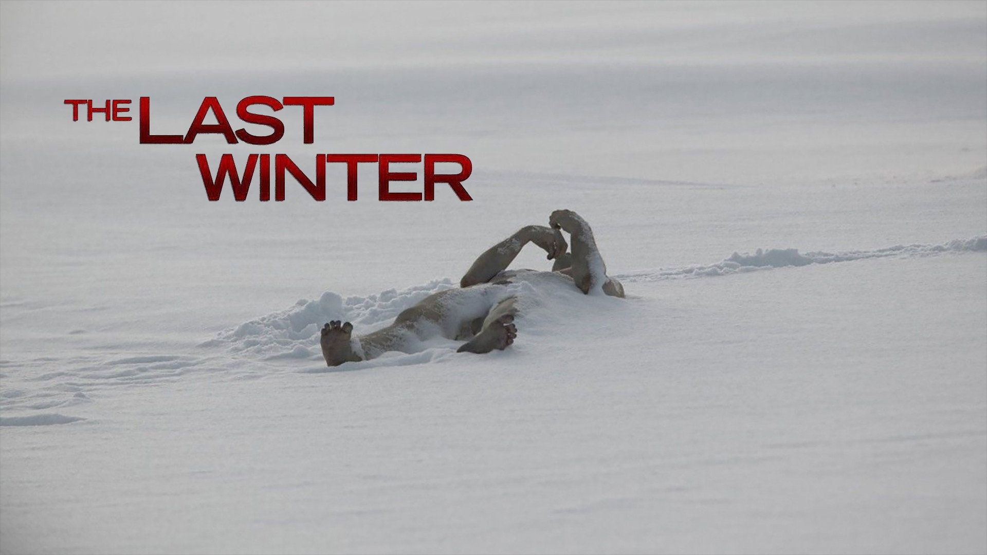 The Last Winter scene photo