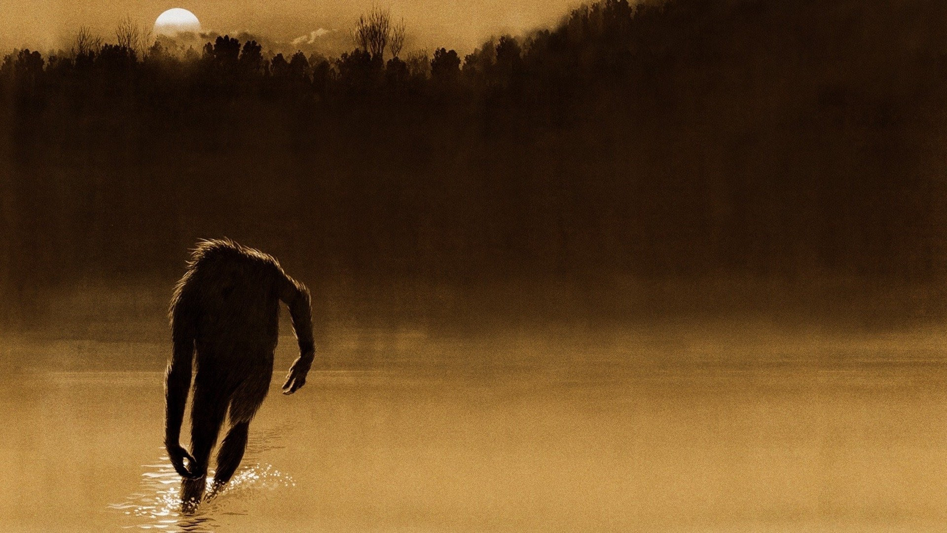 The Legend of Boggy Creek scene photo