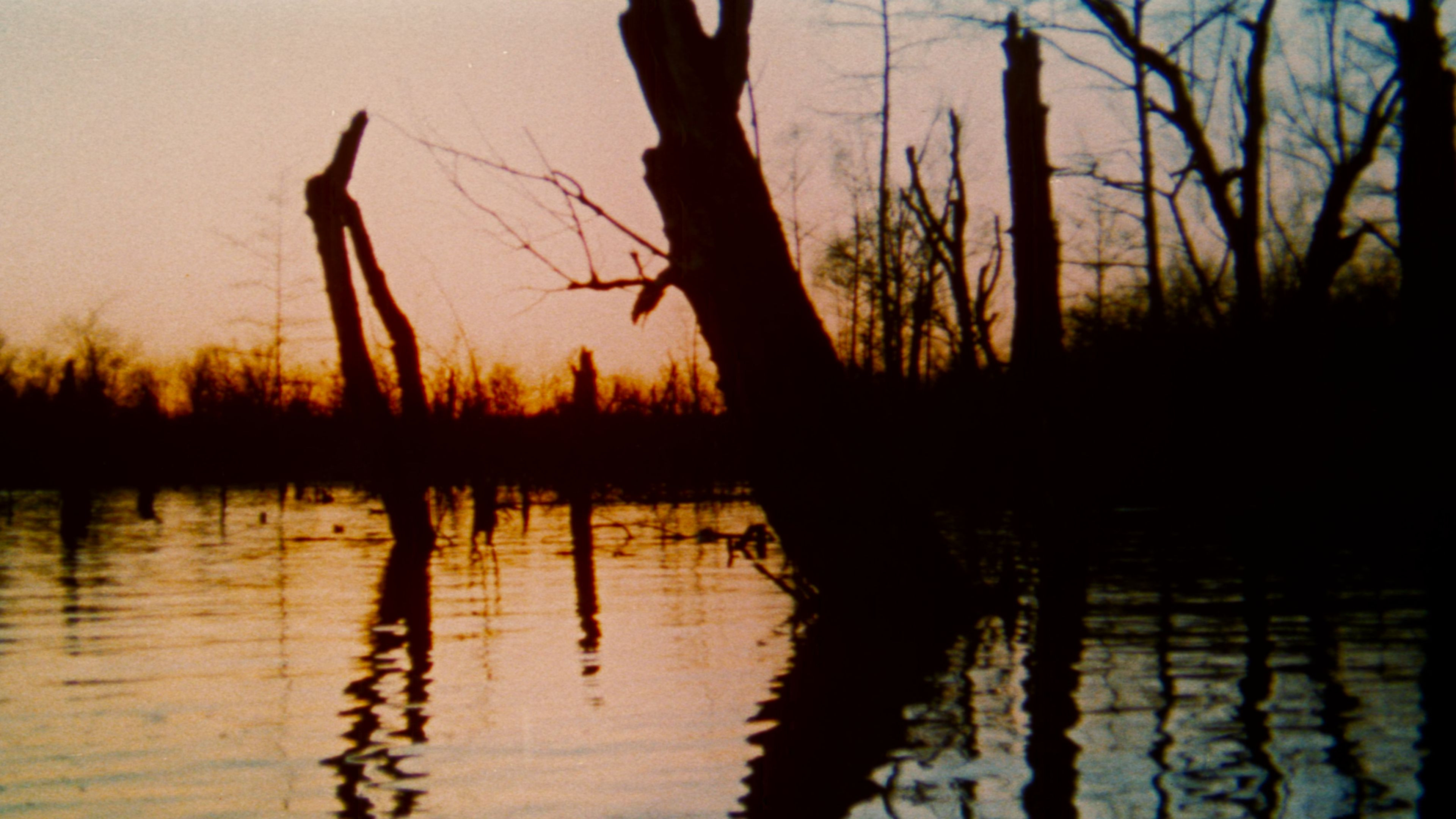 The Legend of Boggy Creek scene photo