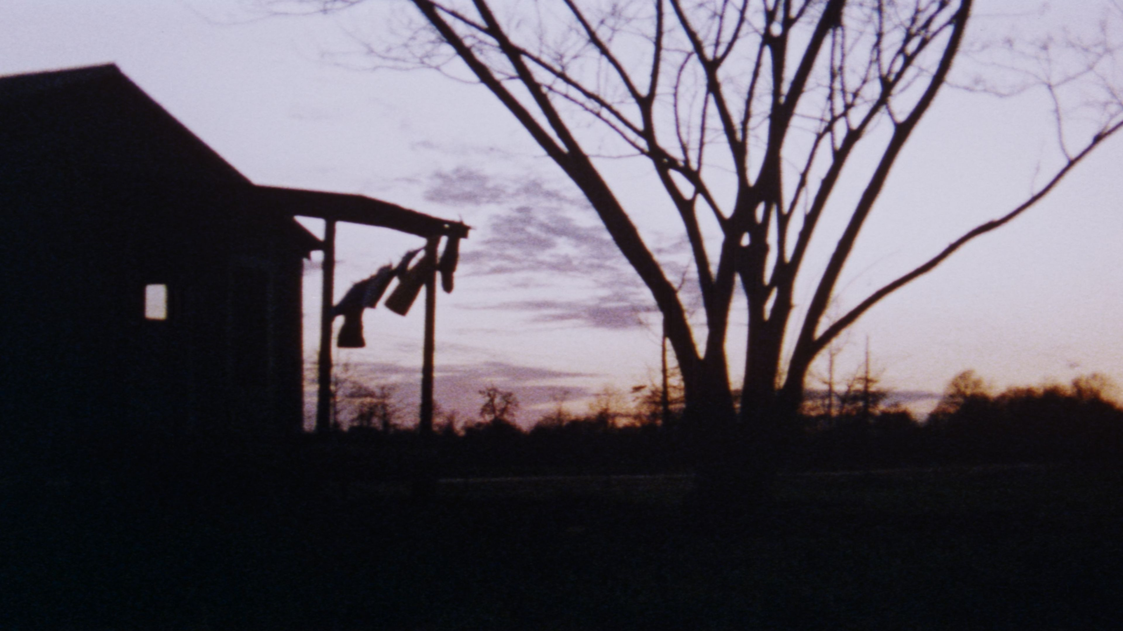 The Legend of Boggy Creek scene photo