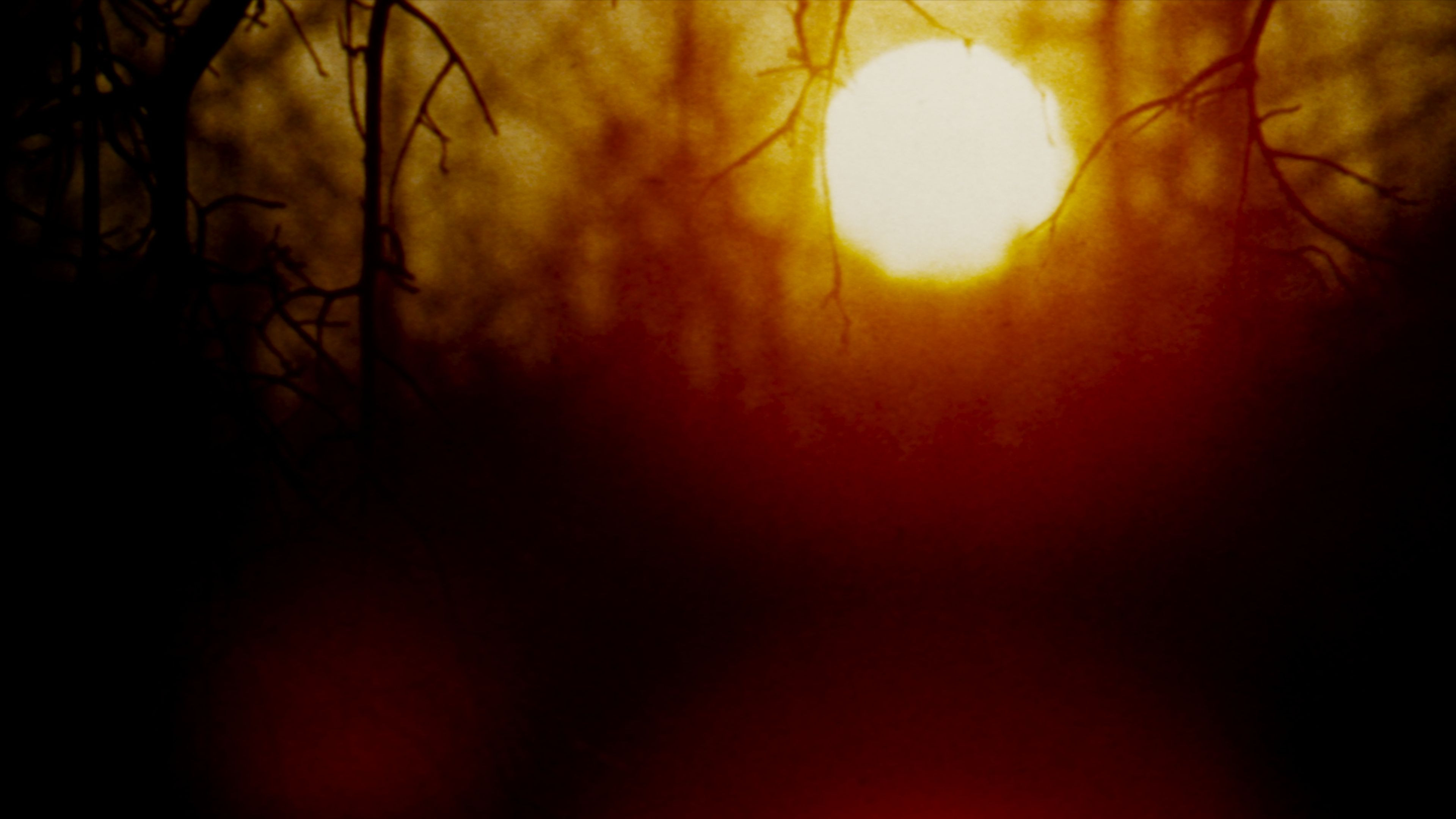 The Legend of Boggy Creek scene photo