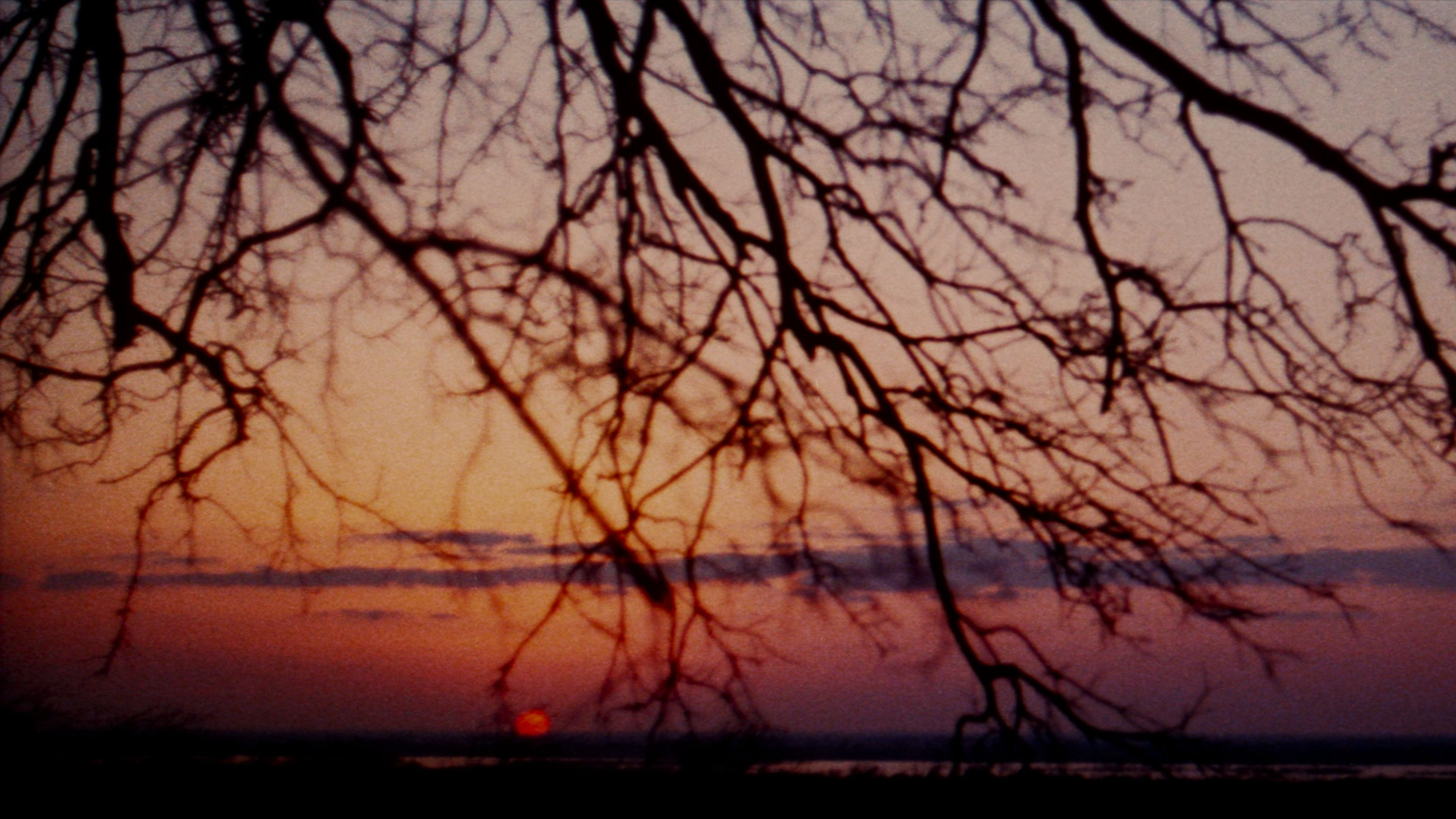 The Legend of Boggy Creek scene photo