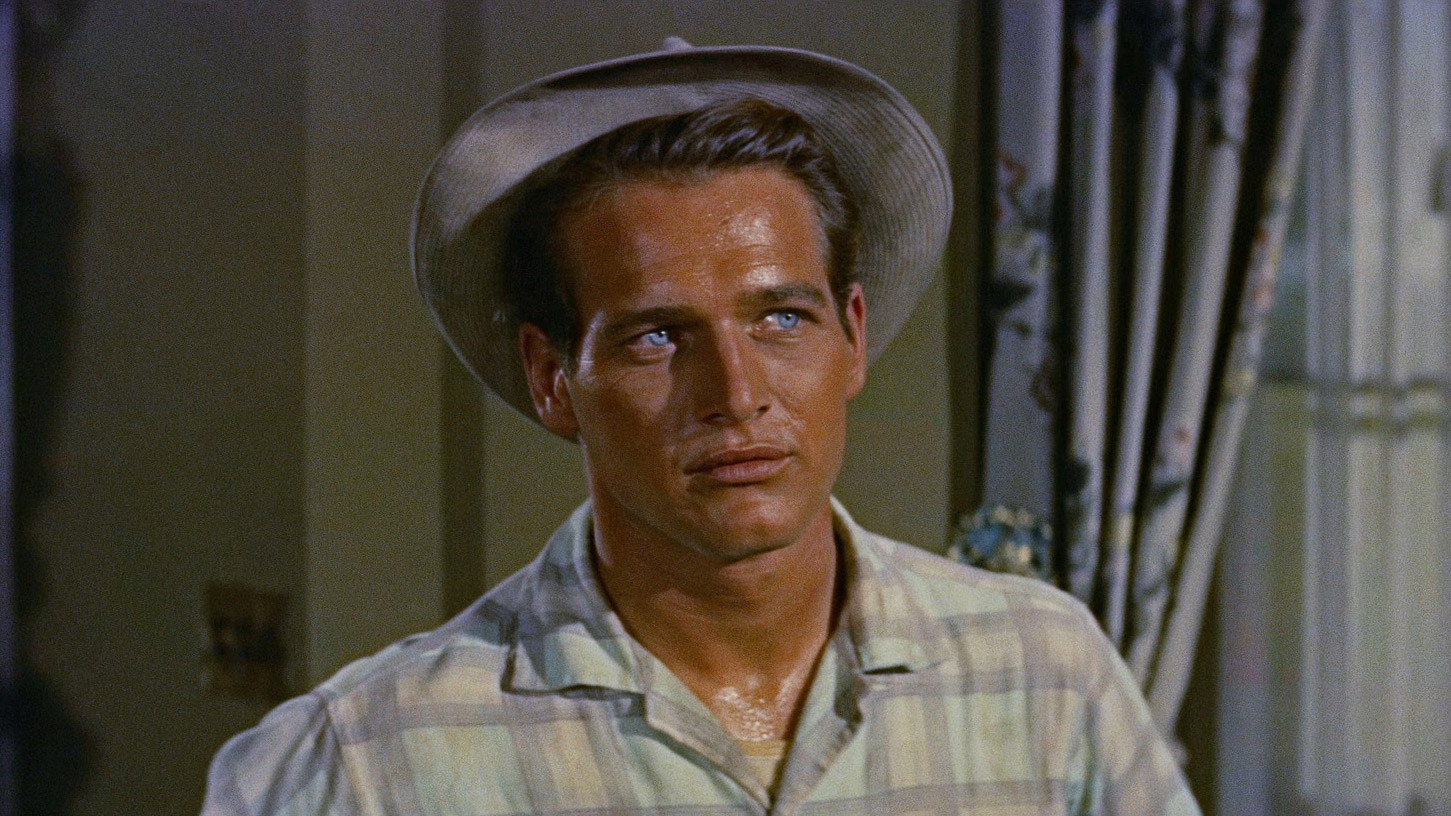 The Long, Hot Summer scene photo