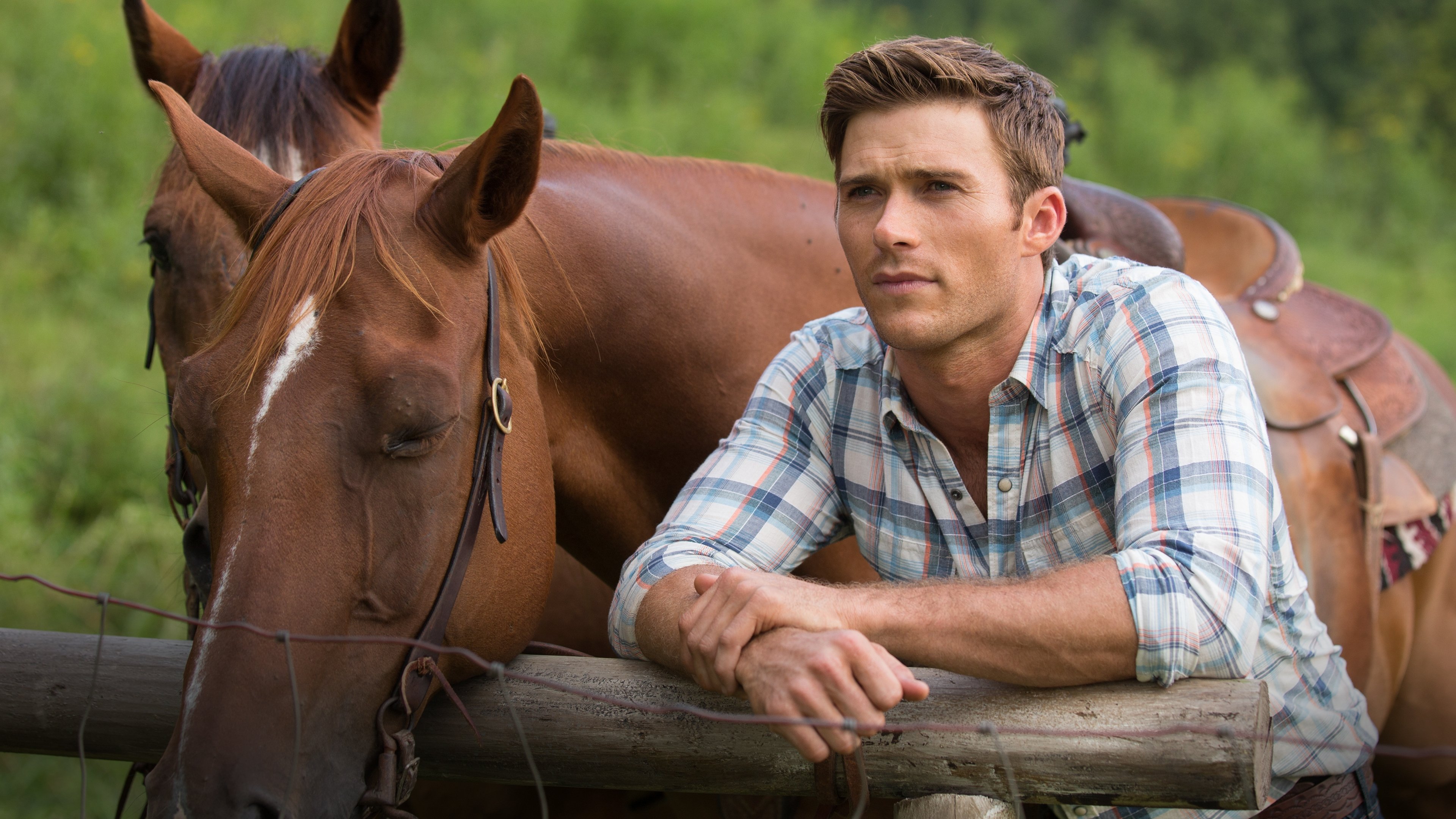 The Longest Ride scene photo