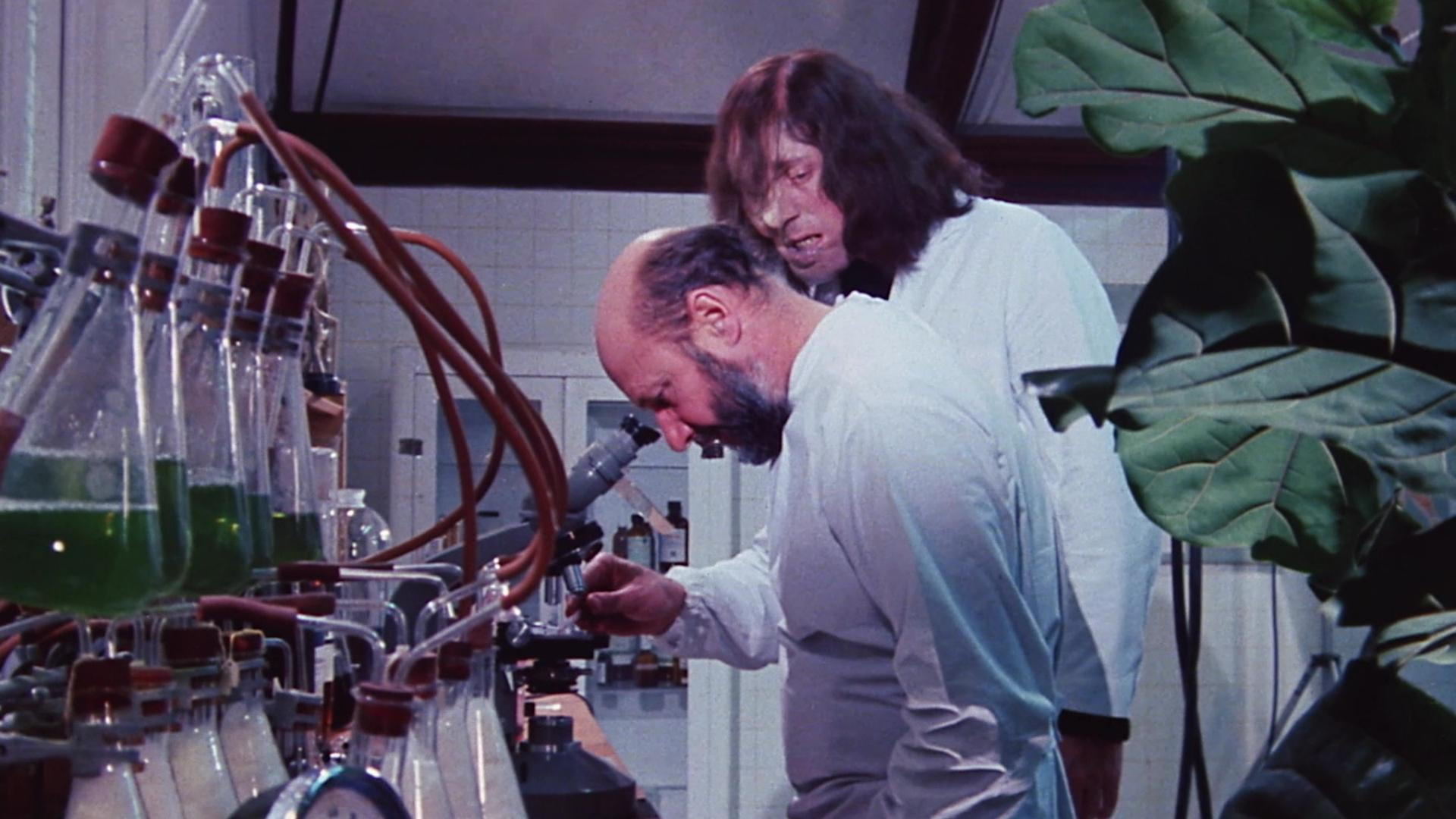 The Mutations scene photo