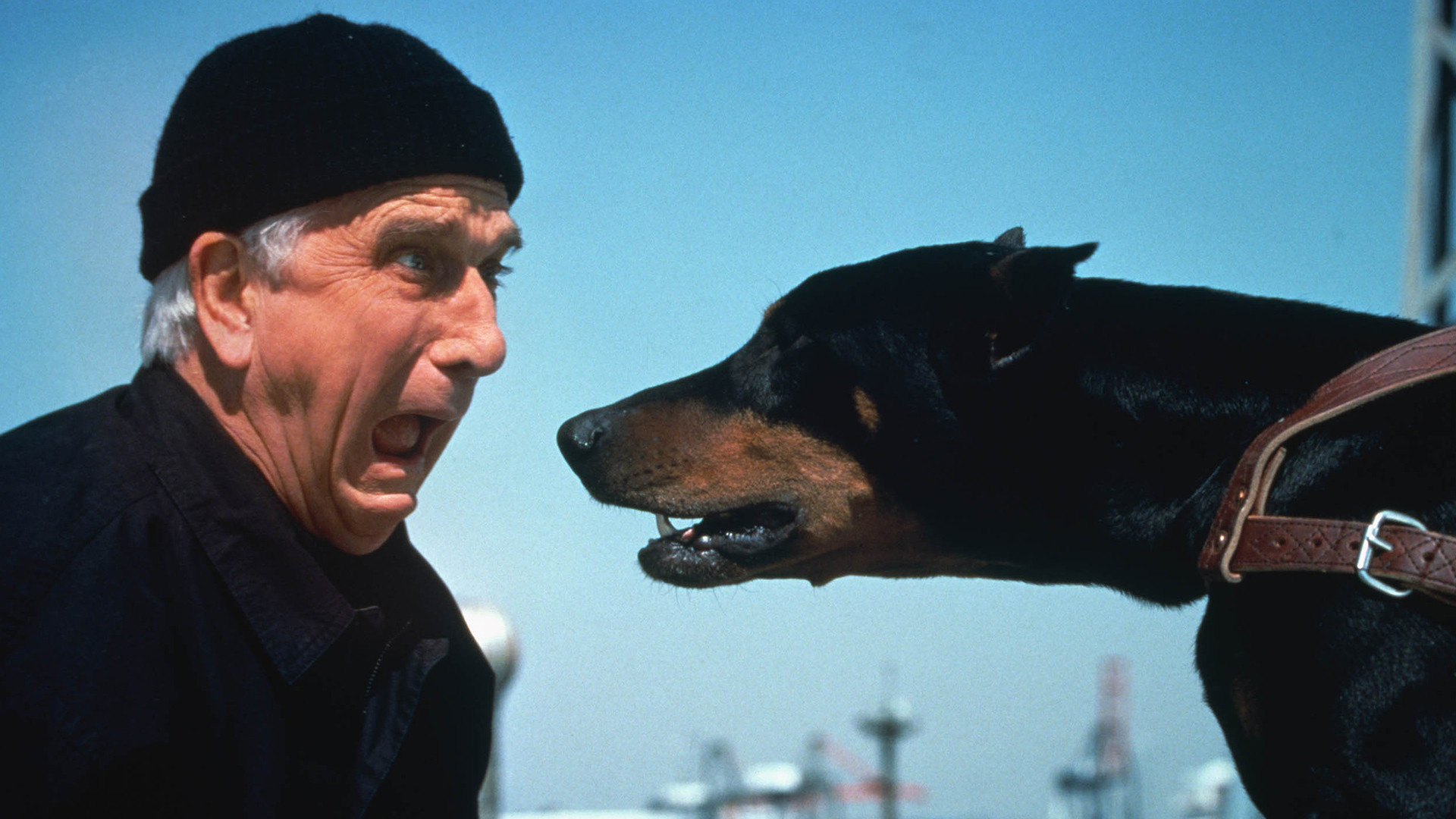 The Naked Gun 2½: The Smell of Fear scene photo