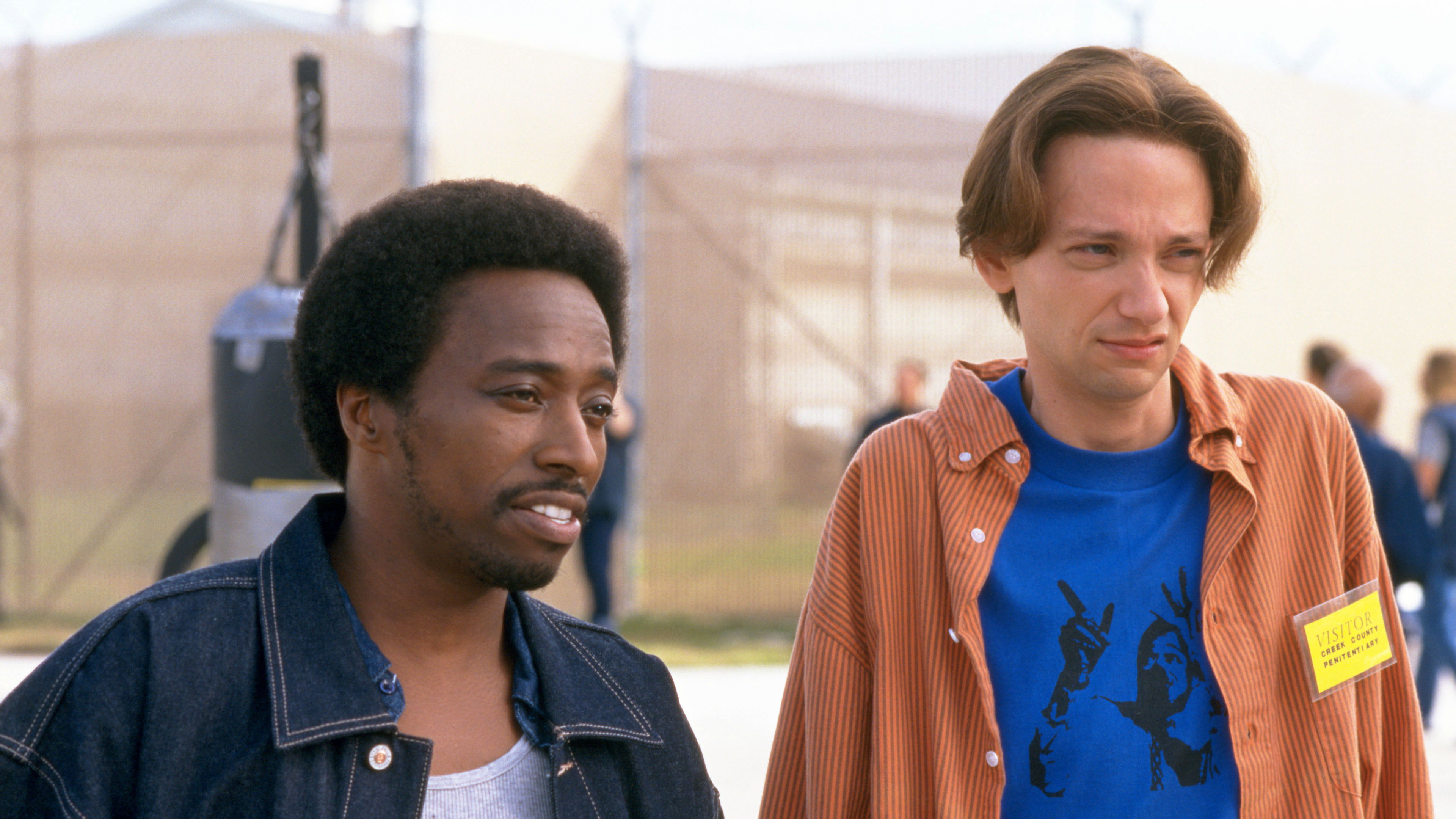 The New Guy scene photo