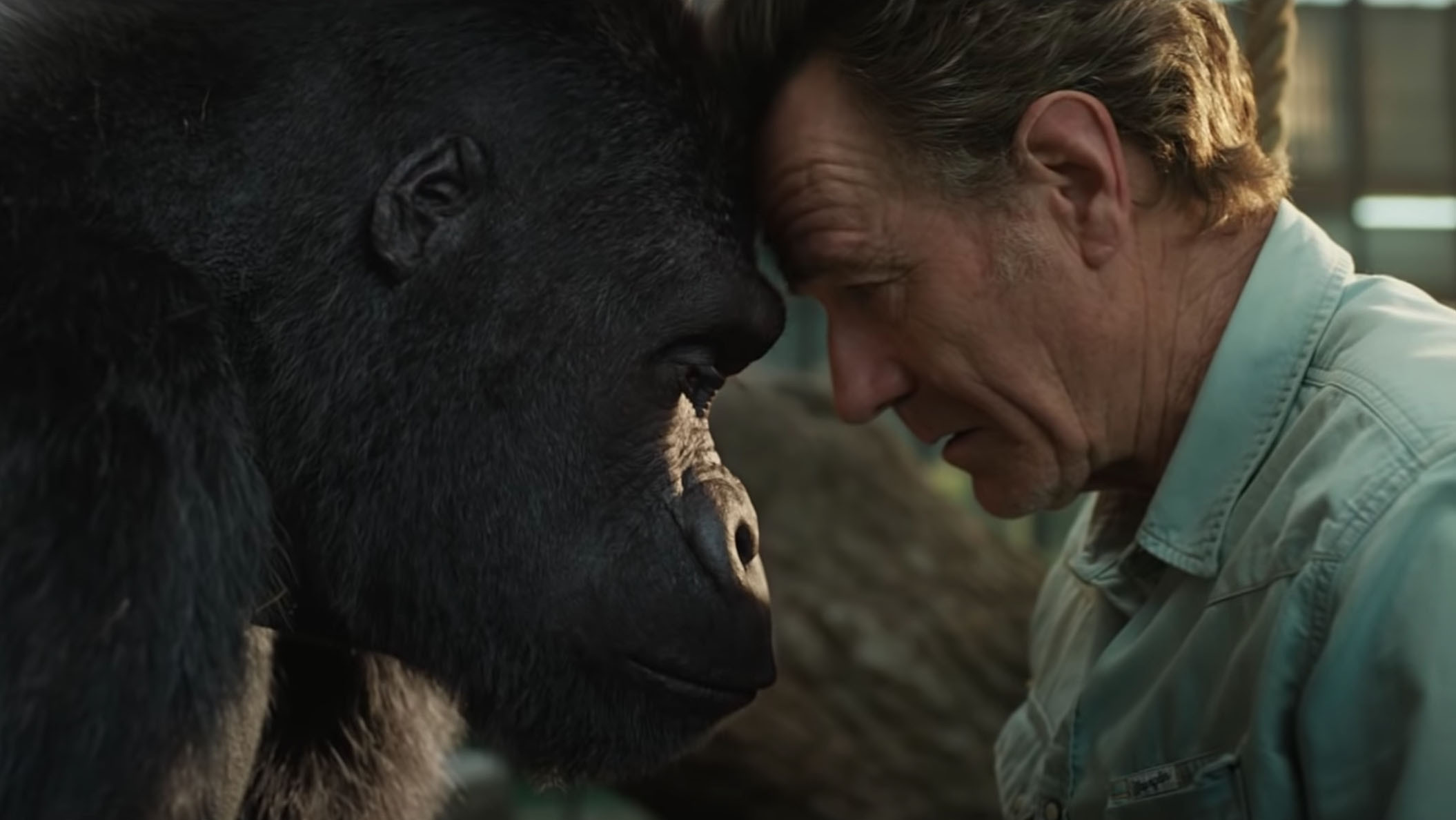 The One and Only Ivan scene photo