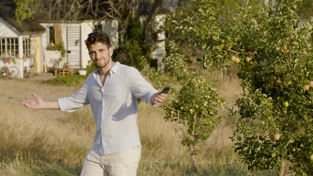 The Orchard scene photo