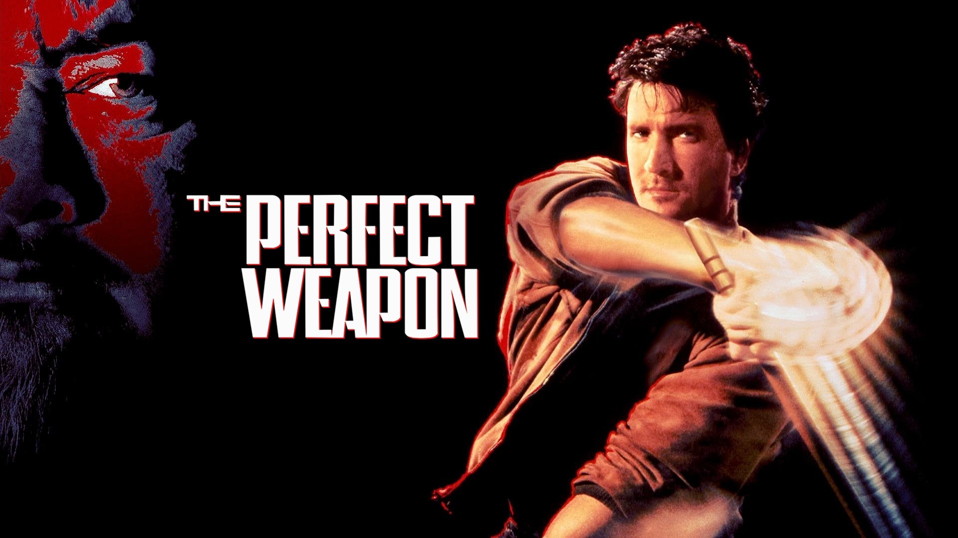 The Perfect Weapon scene photo