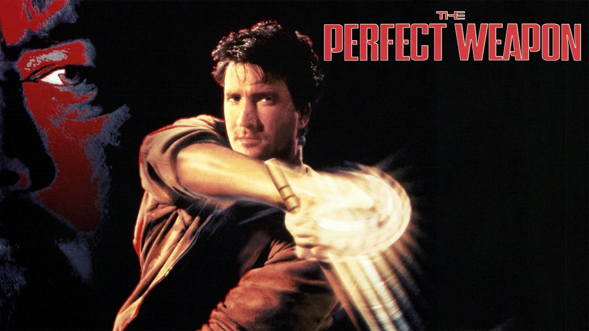 The Perfect Weapon scene photo