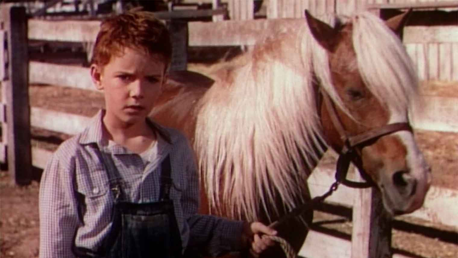 The Red Pony scene photo