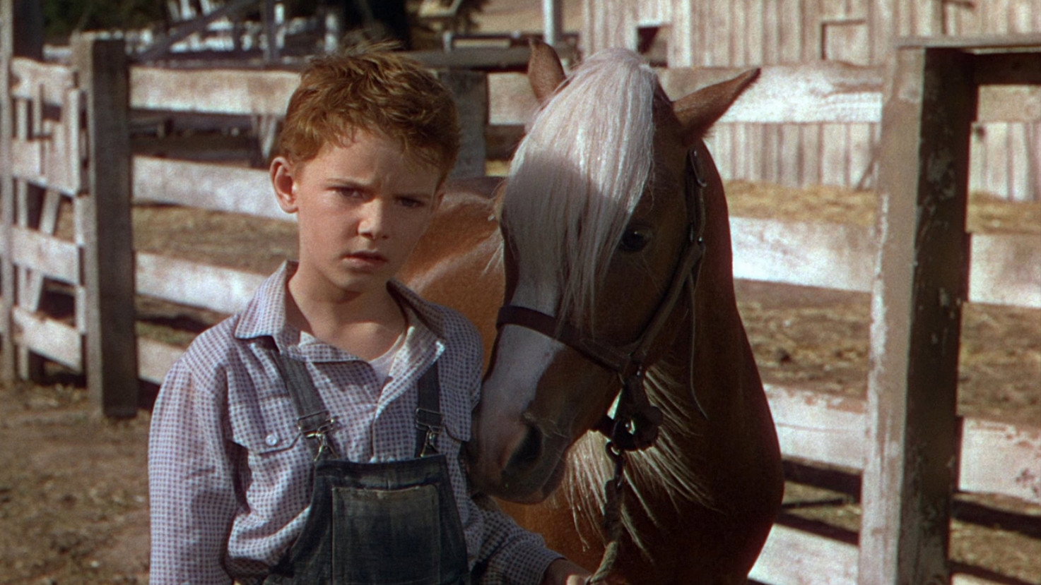 The Red Pony scene photo