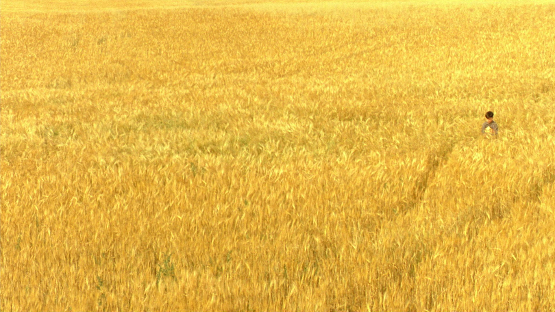 The Reflecting Skin scene photo