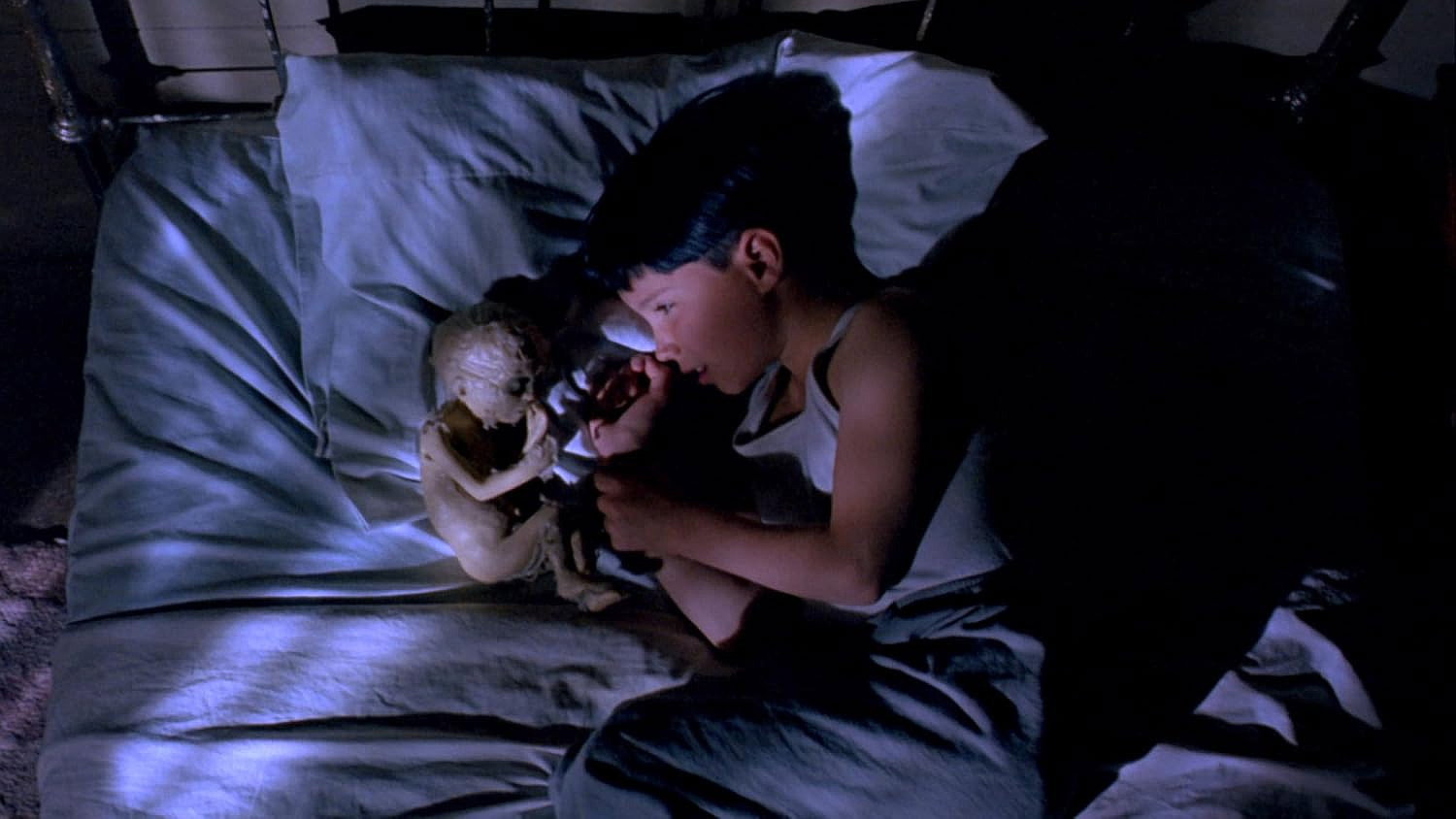 The Reflecting Skin scene photo