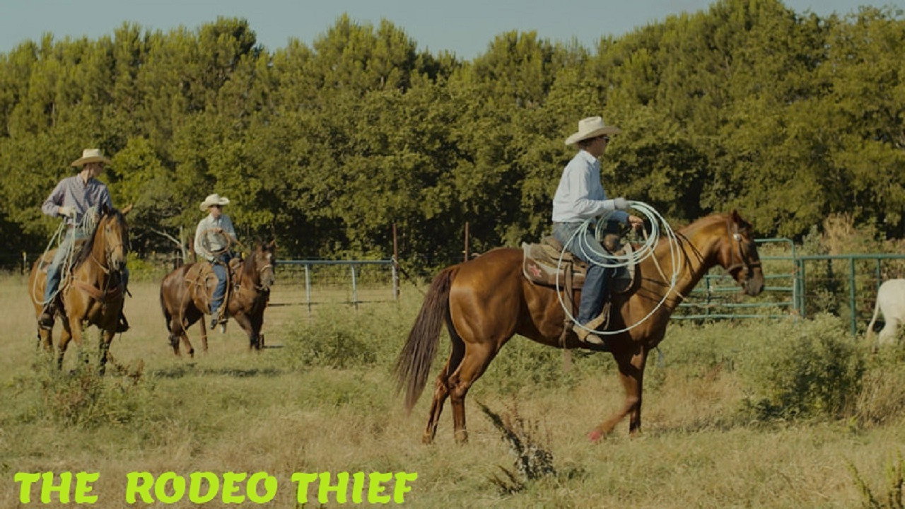 The Rodeo Thief scene photo