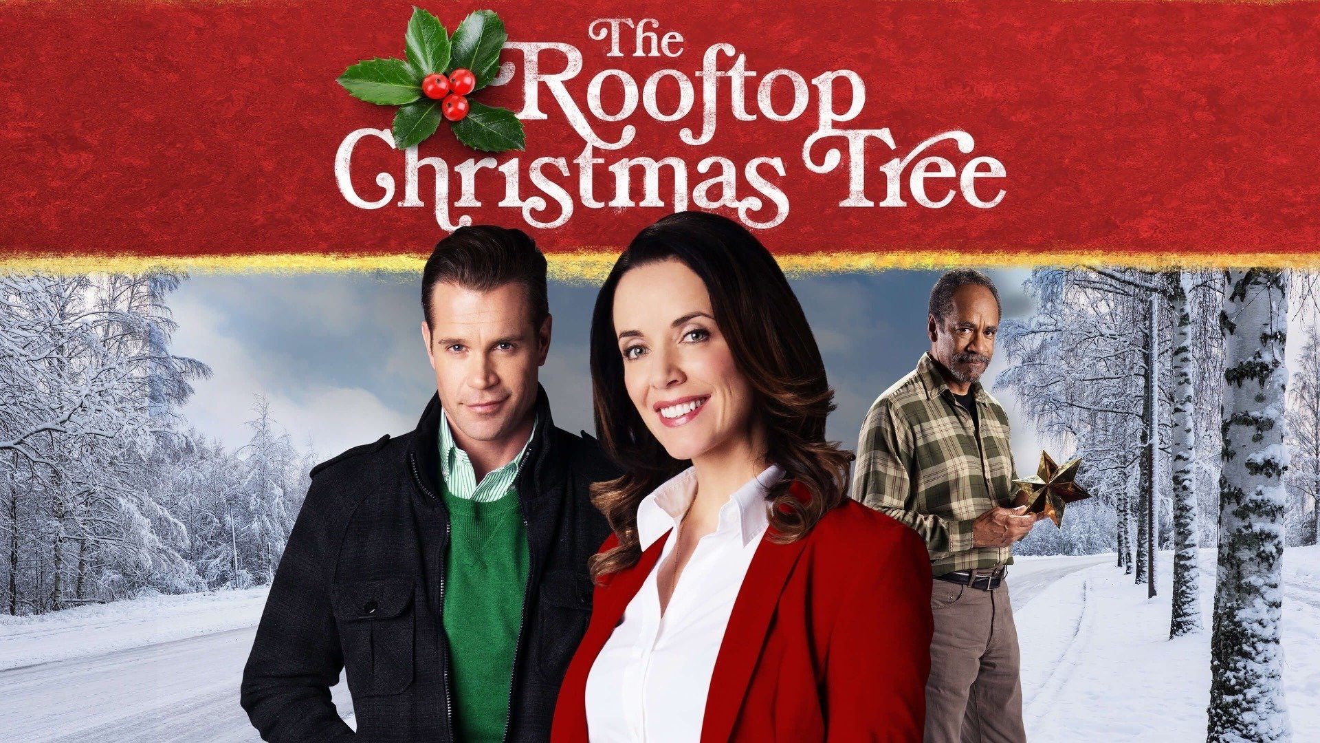 The Rooftop Christmas Tree scene photo