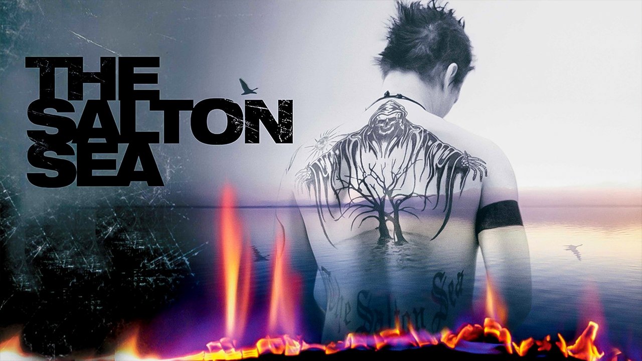 The Salton Sea scene photo