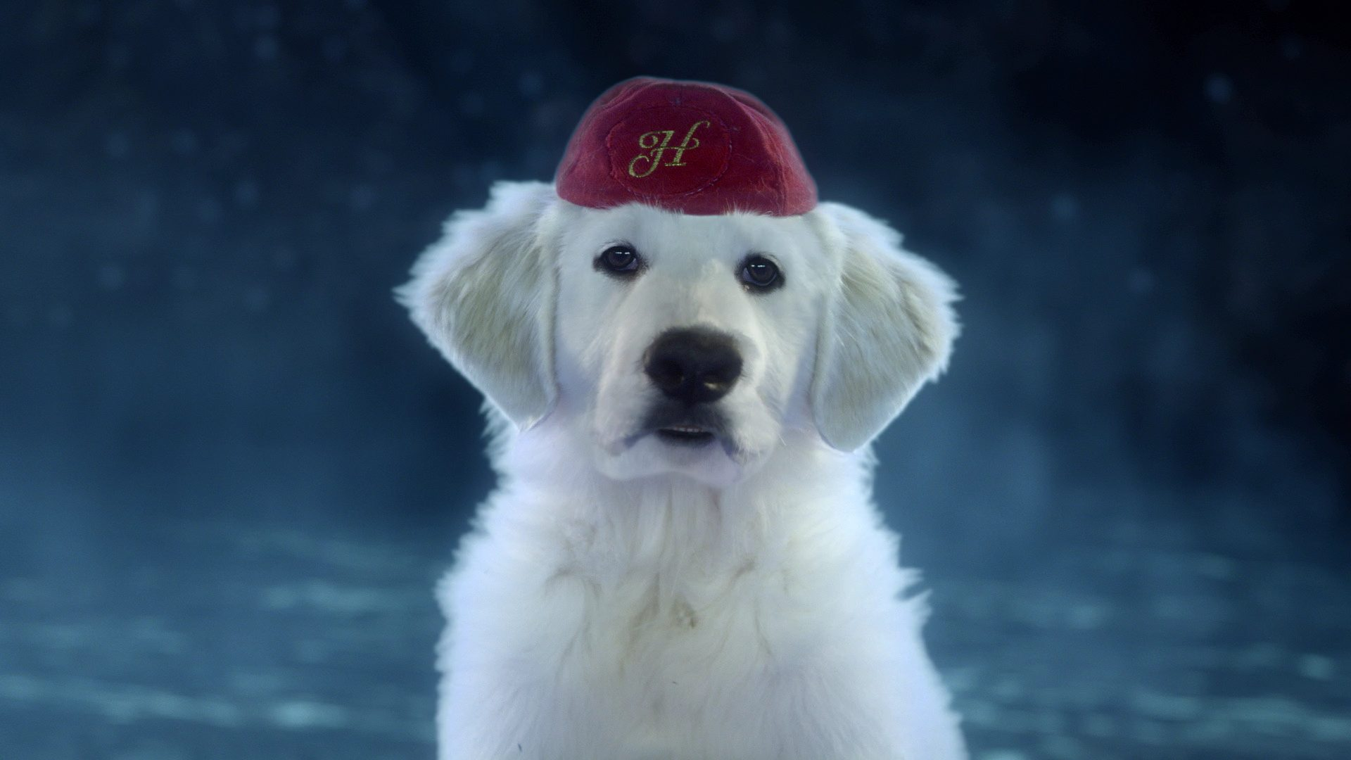 The Search for Santa Paws scene photo