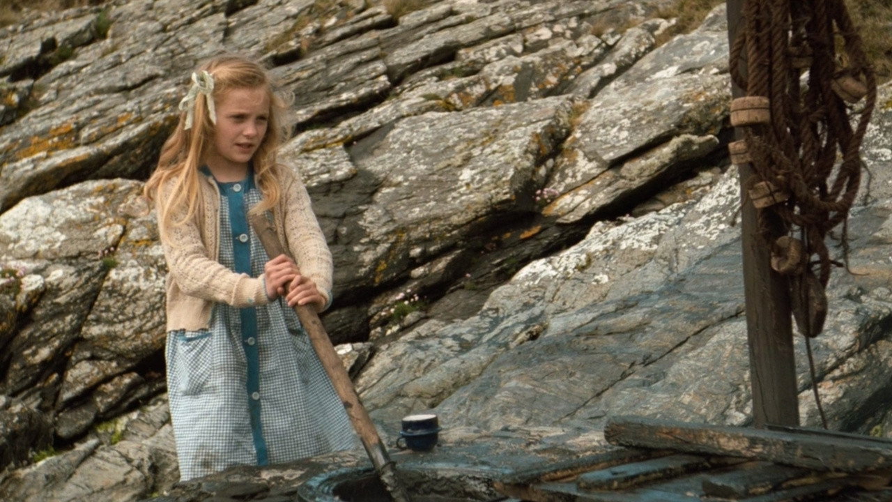 The Secret of Roan Inish scene photo