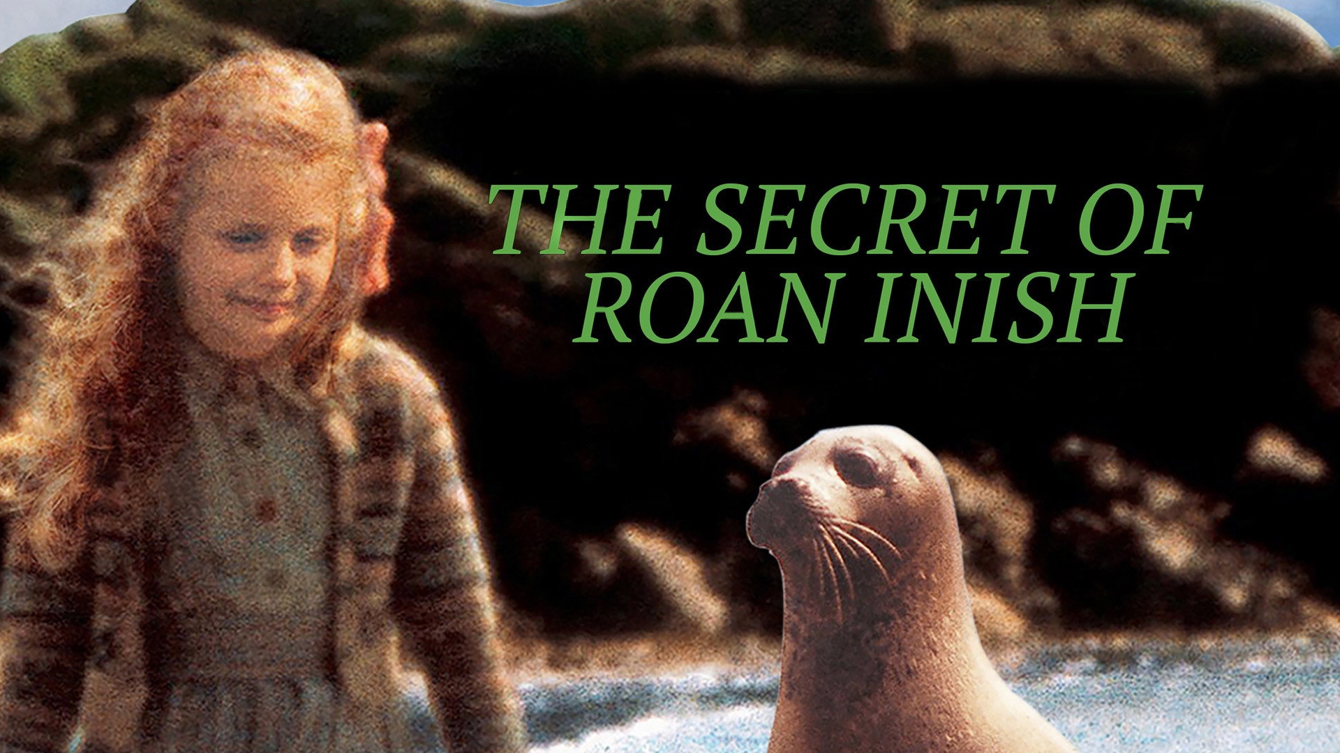 The Secret of Roan Inish scene photo