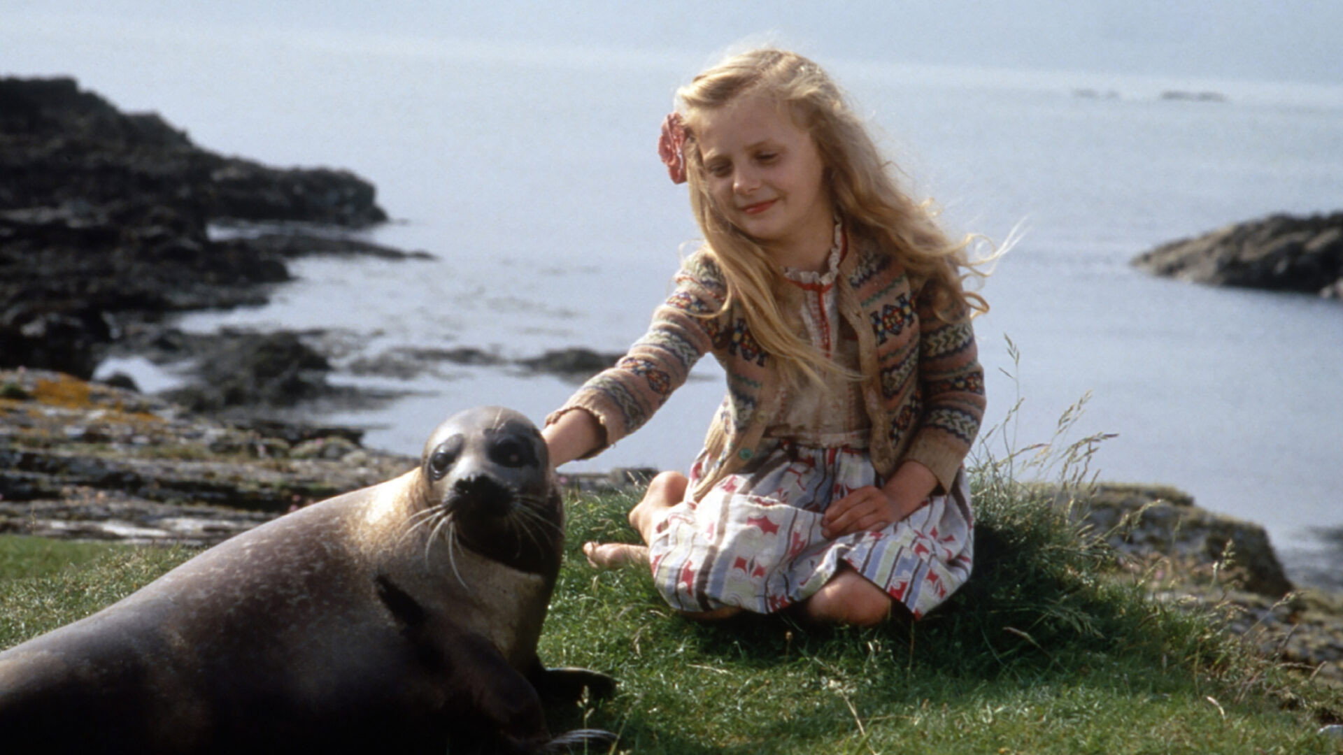 The Secret of Roan Inish scene photo