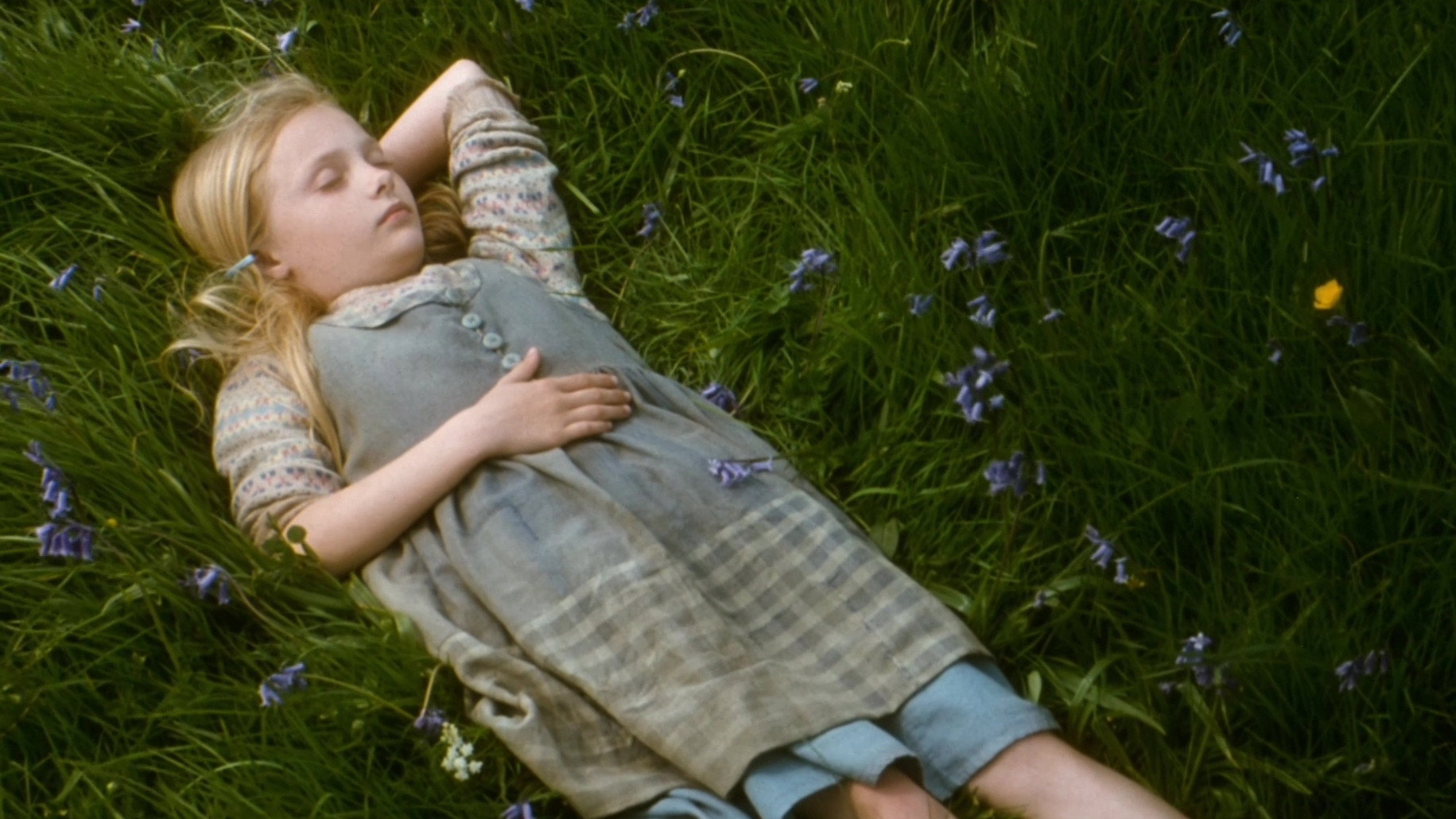 The Secret of Roan Inish scene photo