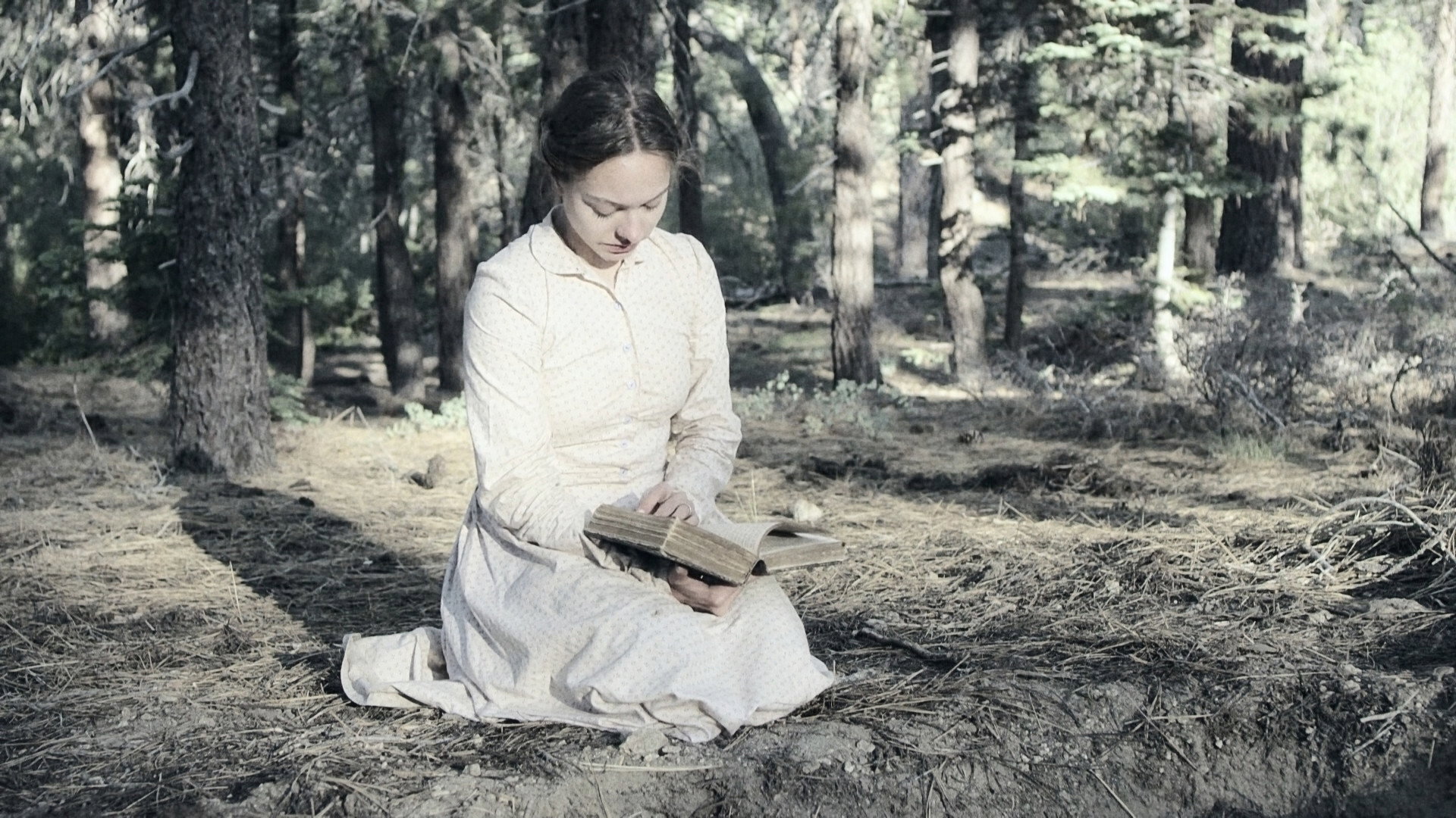 The Trail scene photo
