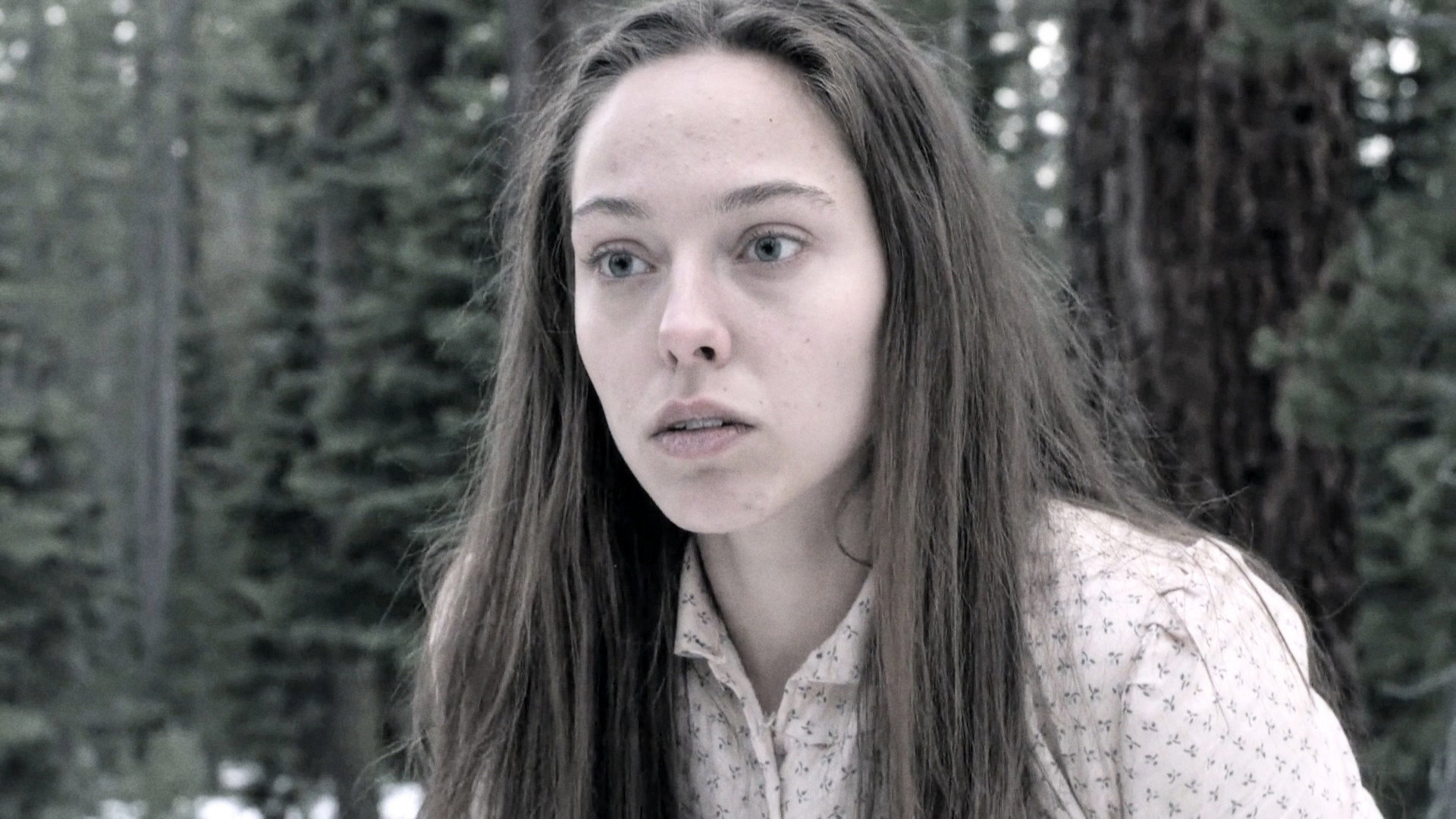 The Trail scene photo