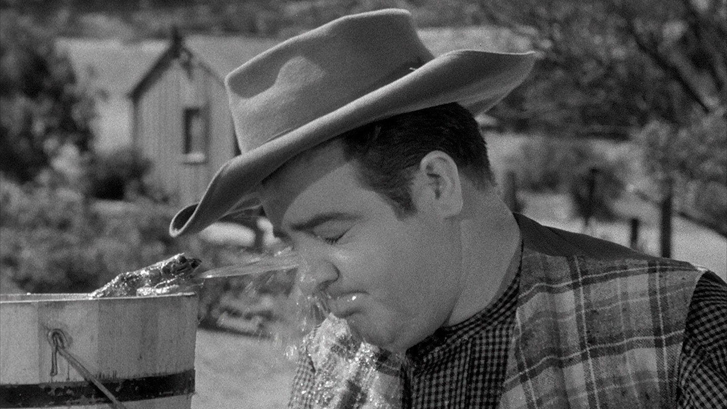 The Wistful Widow of Wagon Gap scene photo
