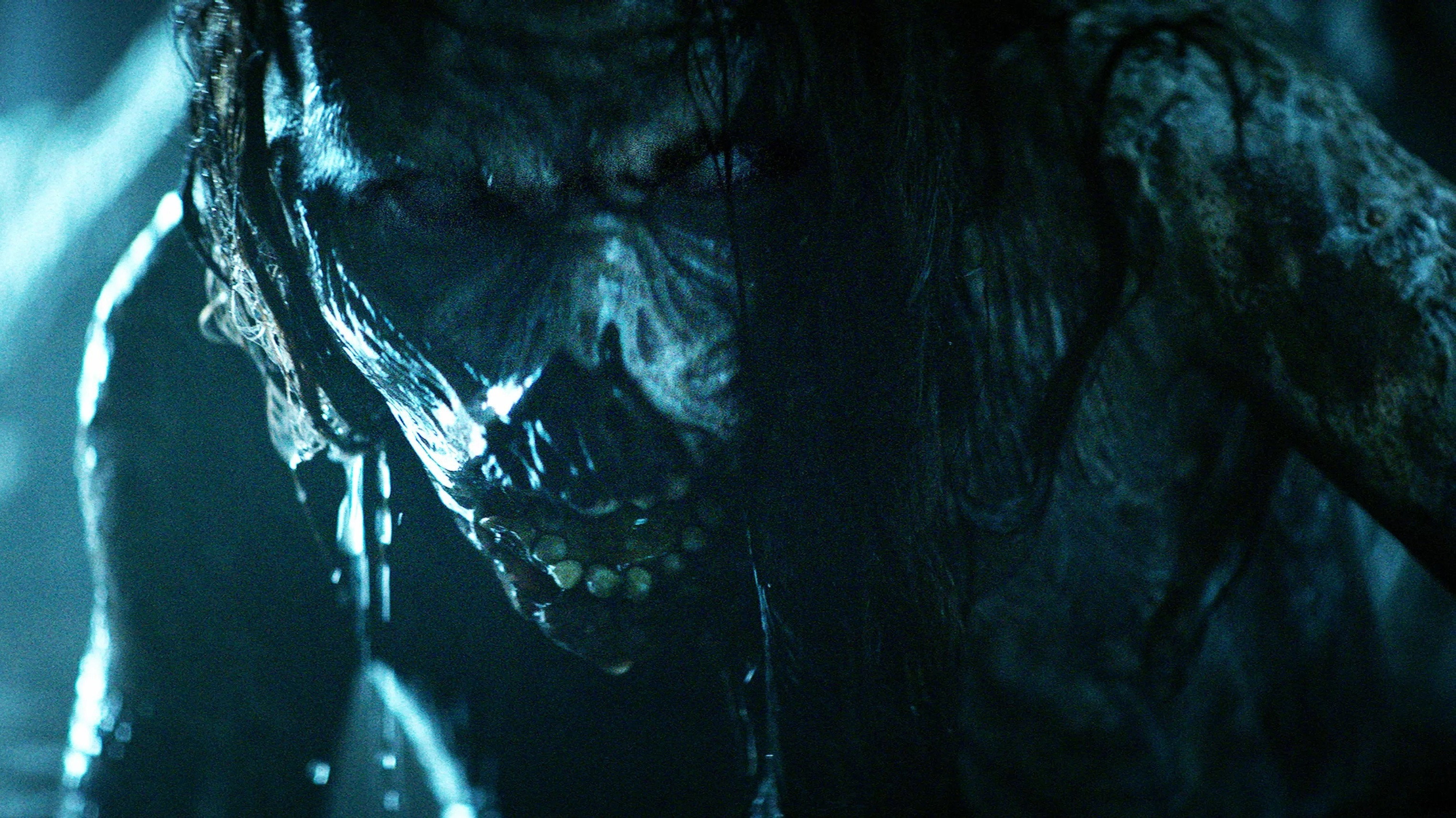 The Wretched scene photo