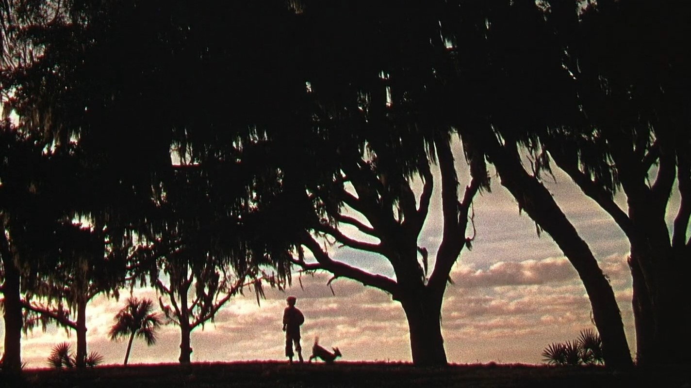 The Yearling scene photo