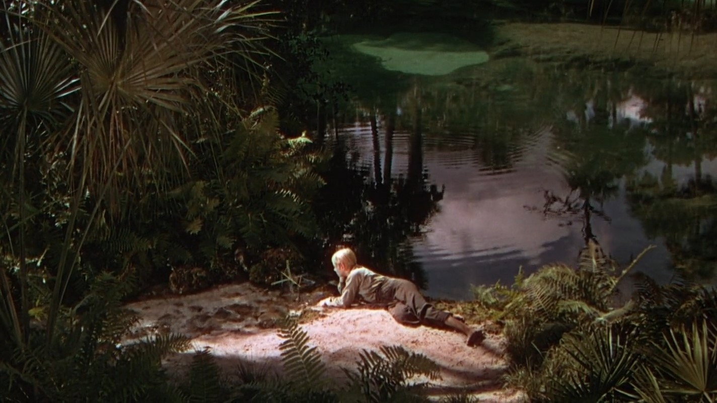 The Yearling scene photo
