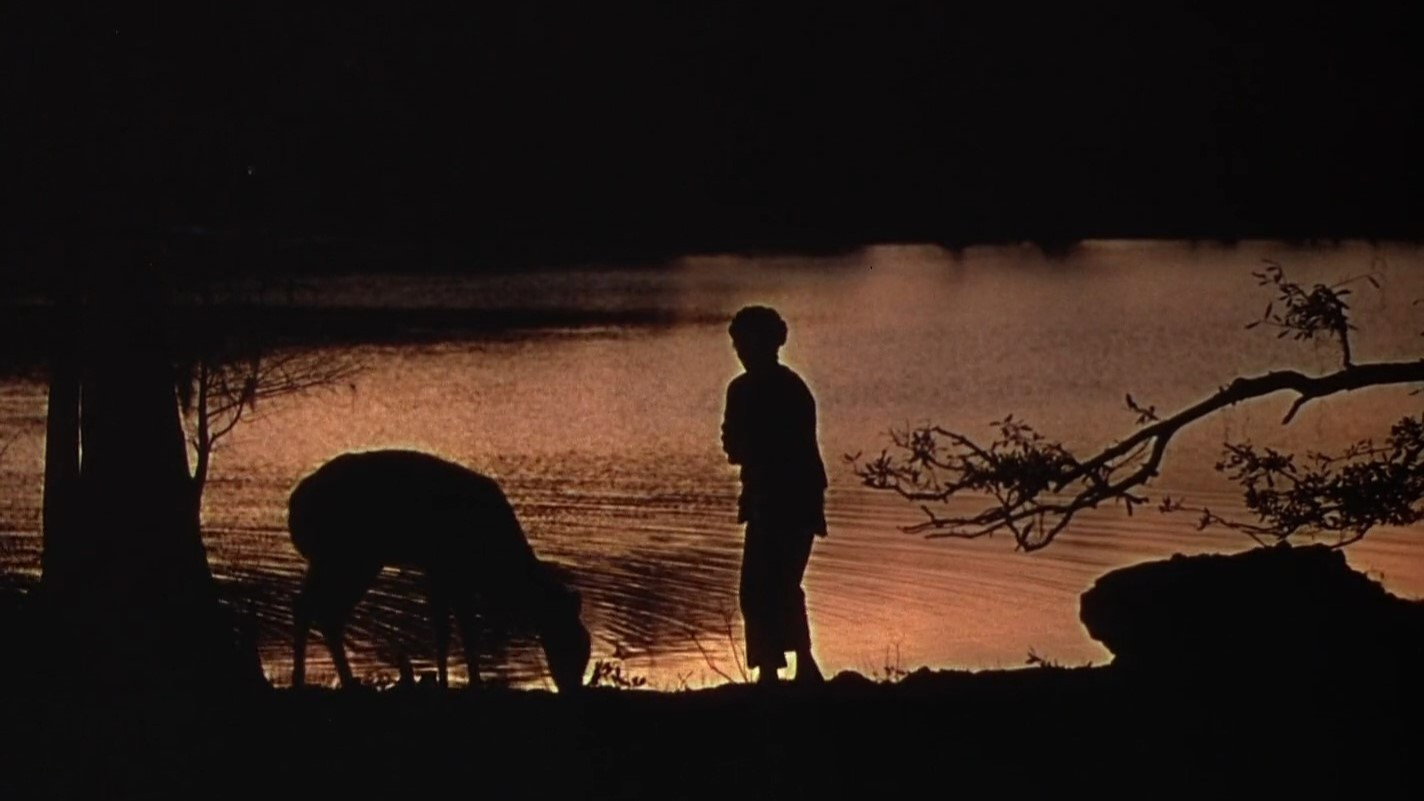 The Yearling scene photo