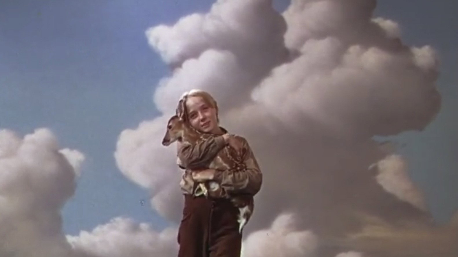 The Yearling scene photo