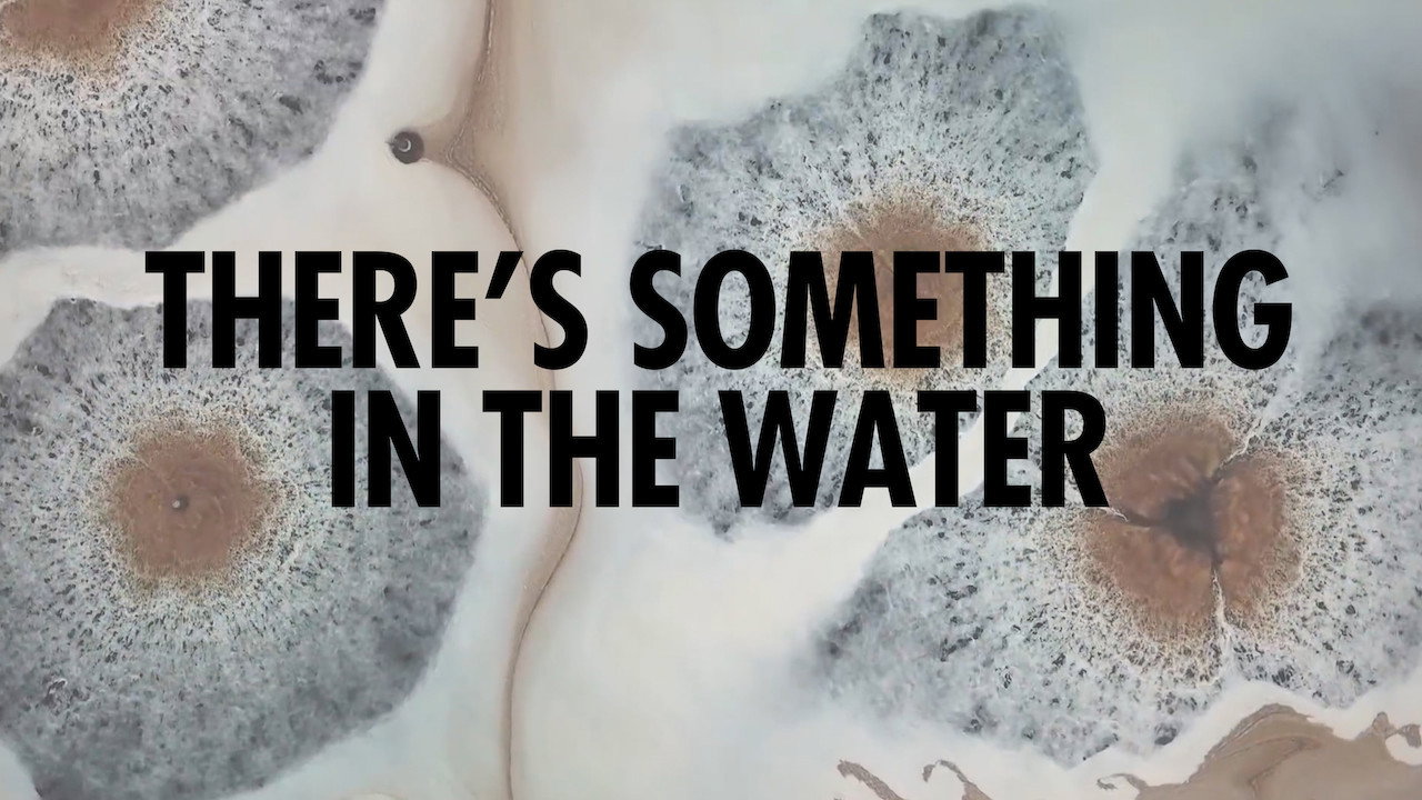 There's Something in the Water scene photo
